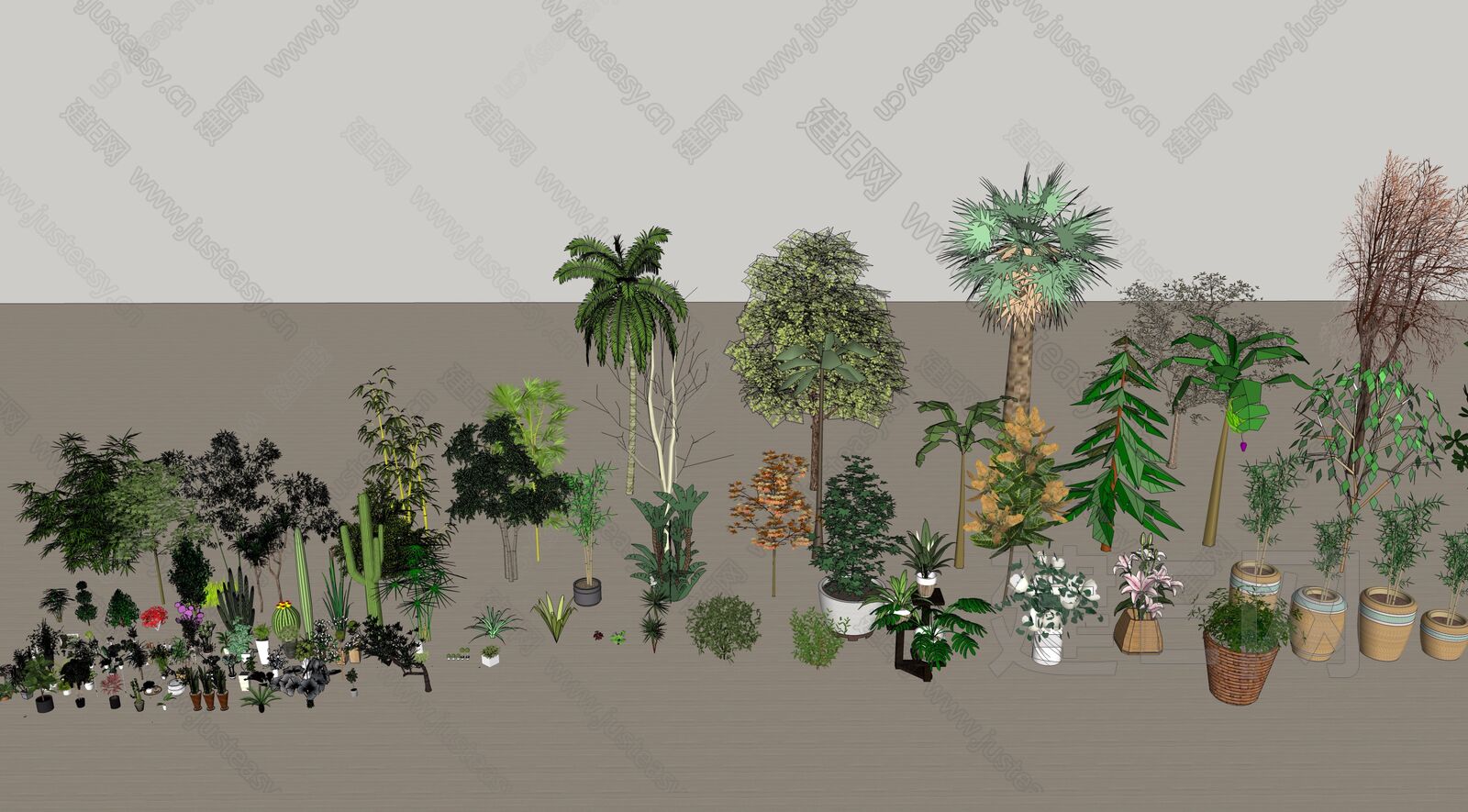 现代植物合集sketchup模型