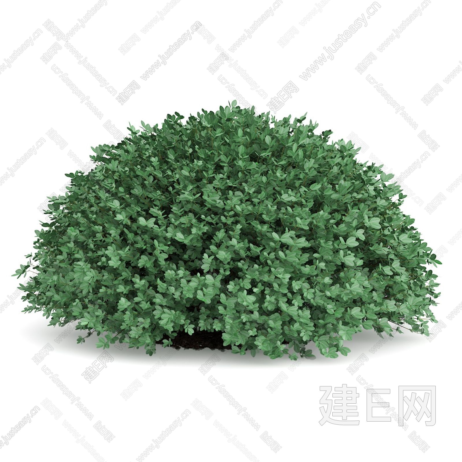 灌木丛3d模型