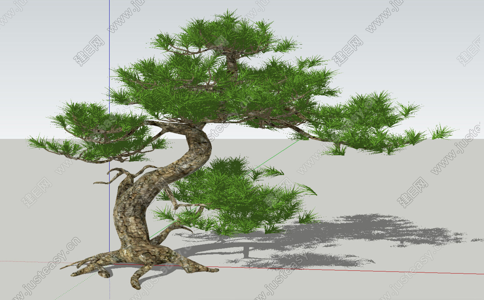 中式造型松树sketchup模型