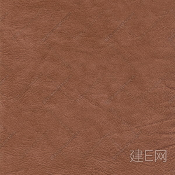 皮质粗纹 (2).jpg 【贴图id:5049】