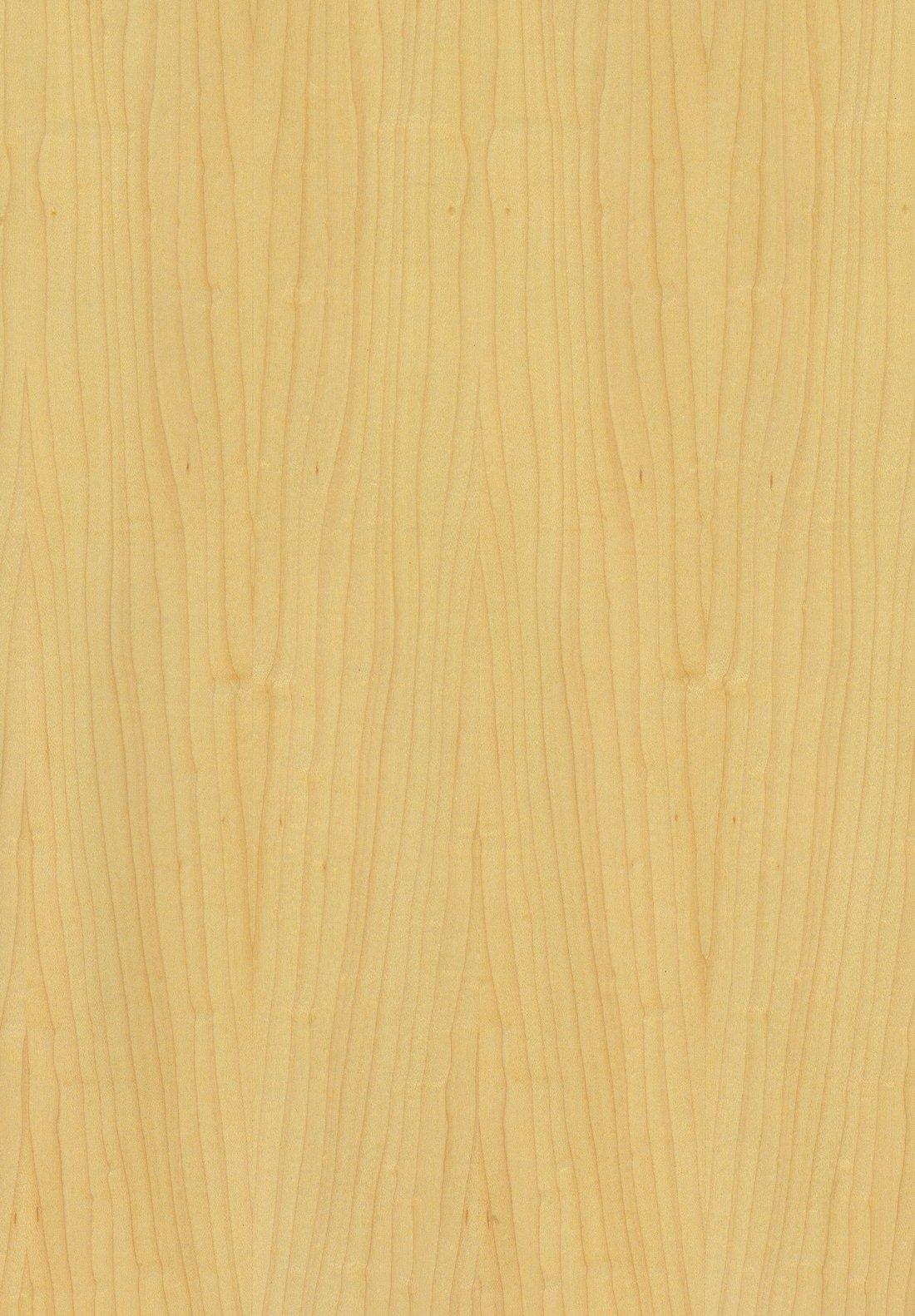 梵品木饰面枫木系列