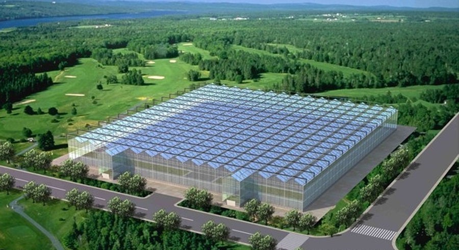 农业生态园设计案例效果图