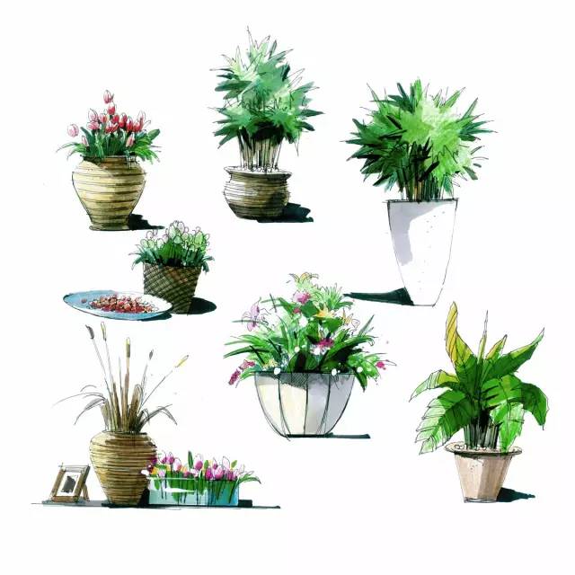 室内手绘教程,还不赶紧收藏!