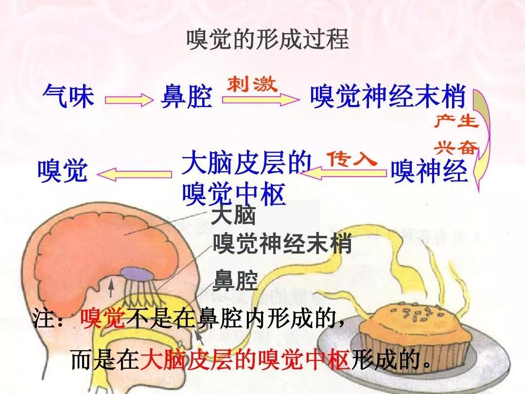 设计师学会五感六觉设计法,秒杀80%的同行!