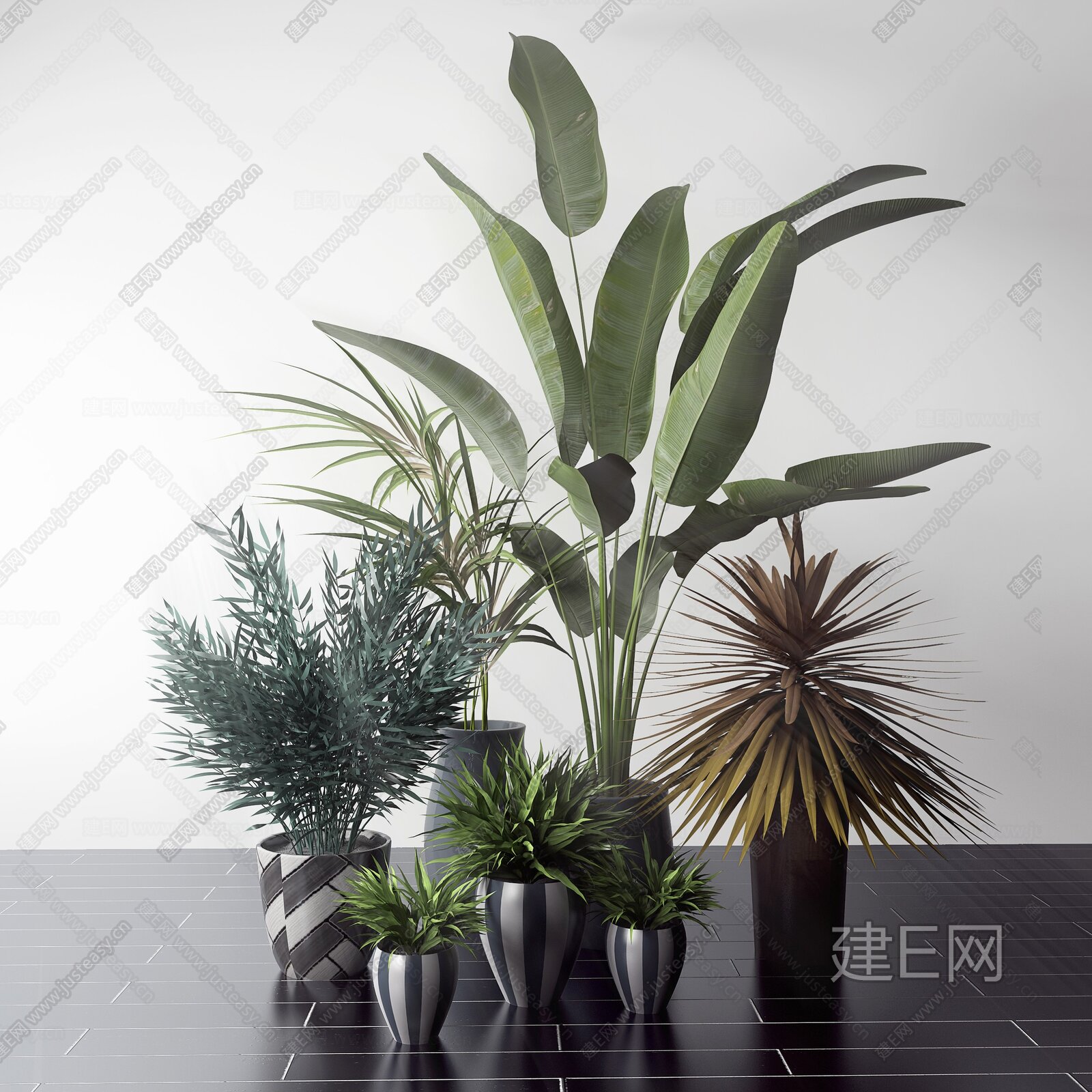 现代植物盆栽组合