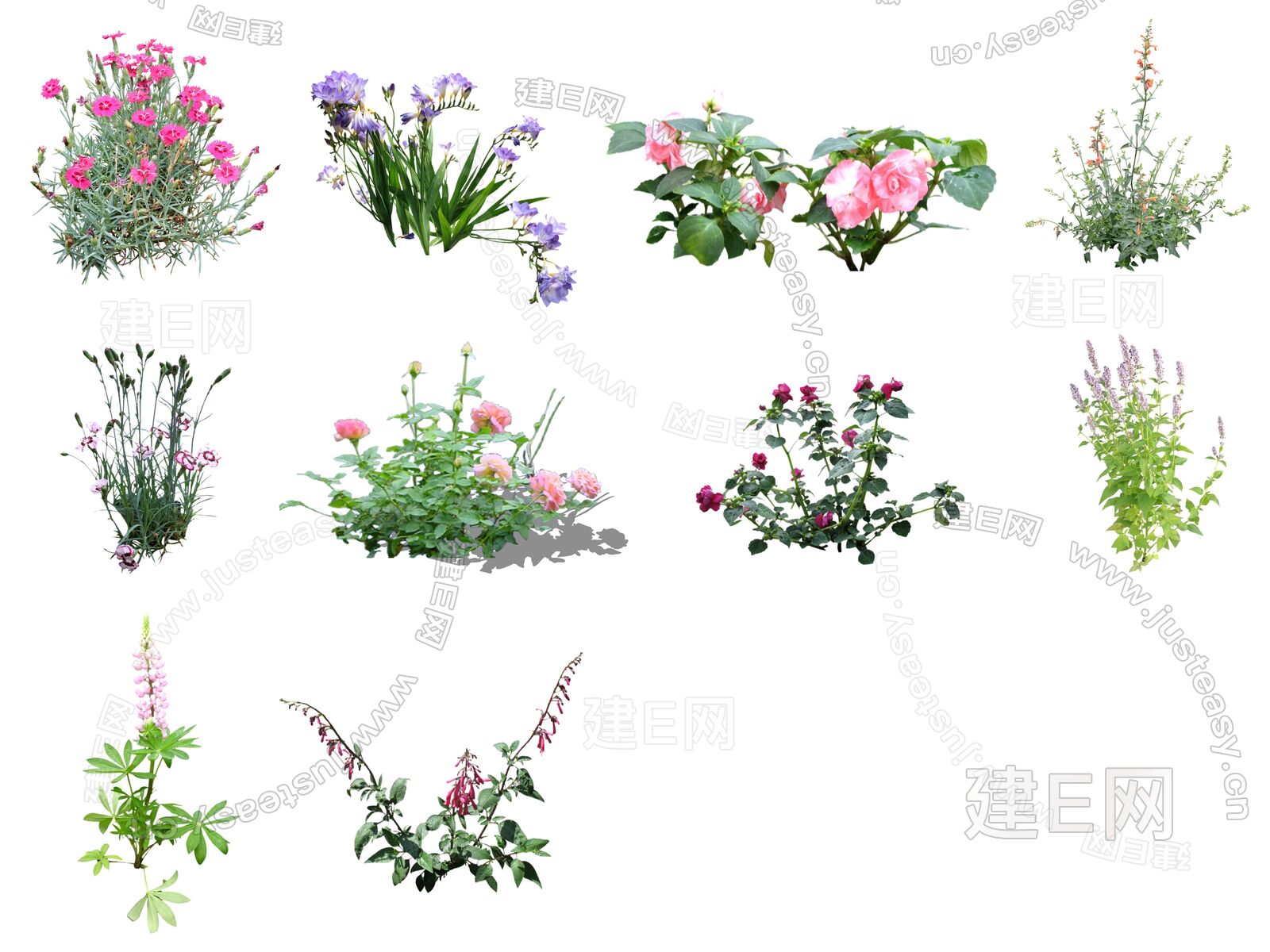 现代花卉灌木组合模型SU模型下载[ID:112279582]_建e网su模型