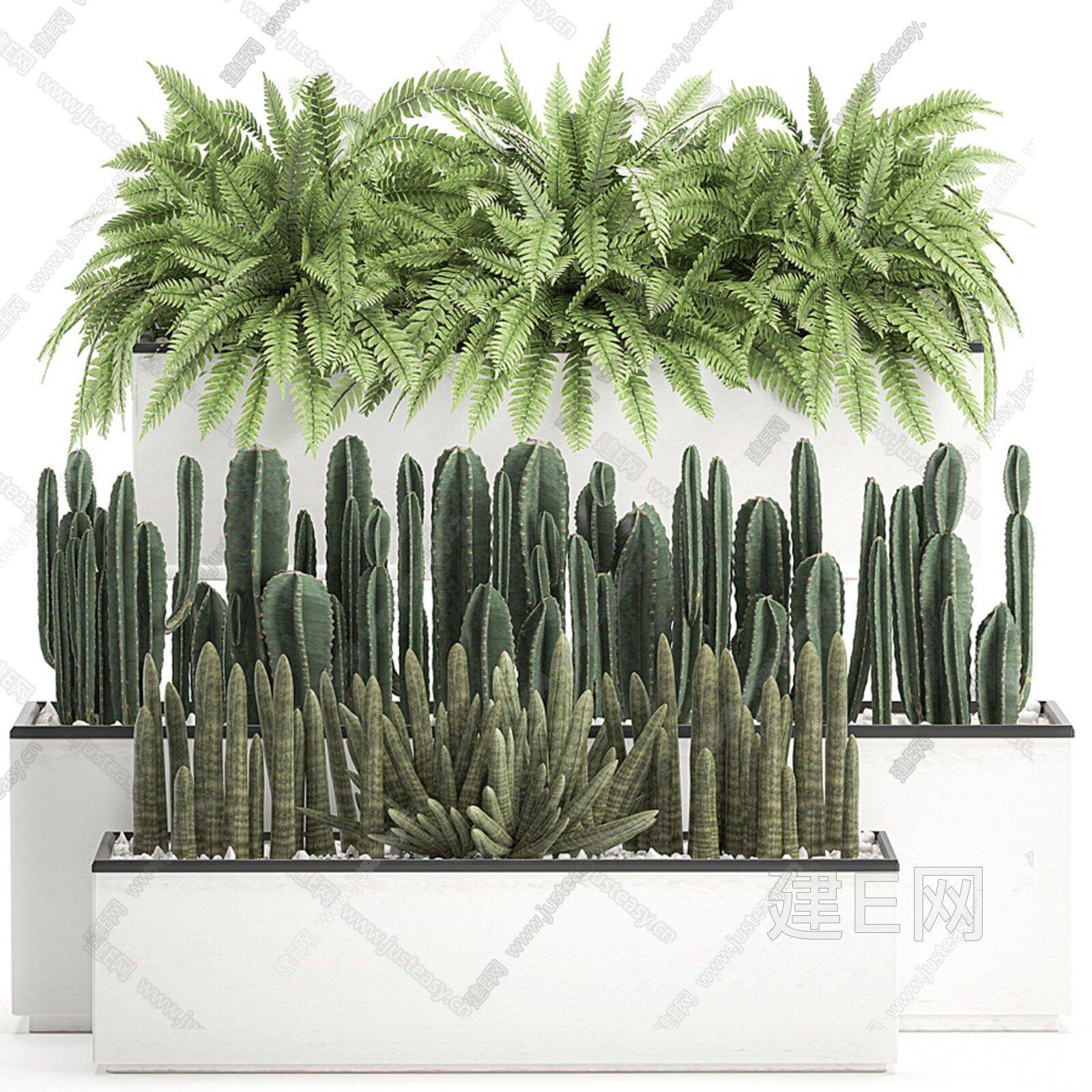 现代植物盆栽3d模型下载_3d现代植物盆栽模型下载_3d现代植物盆栽max模型免费下载_建E室内设计网
