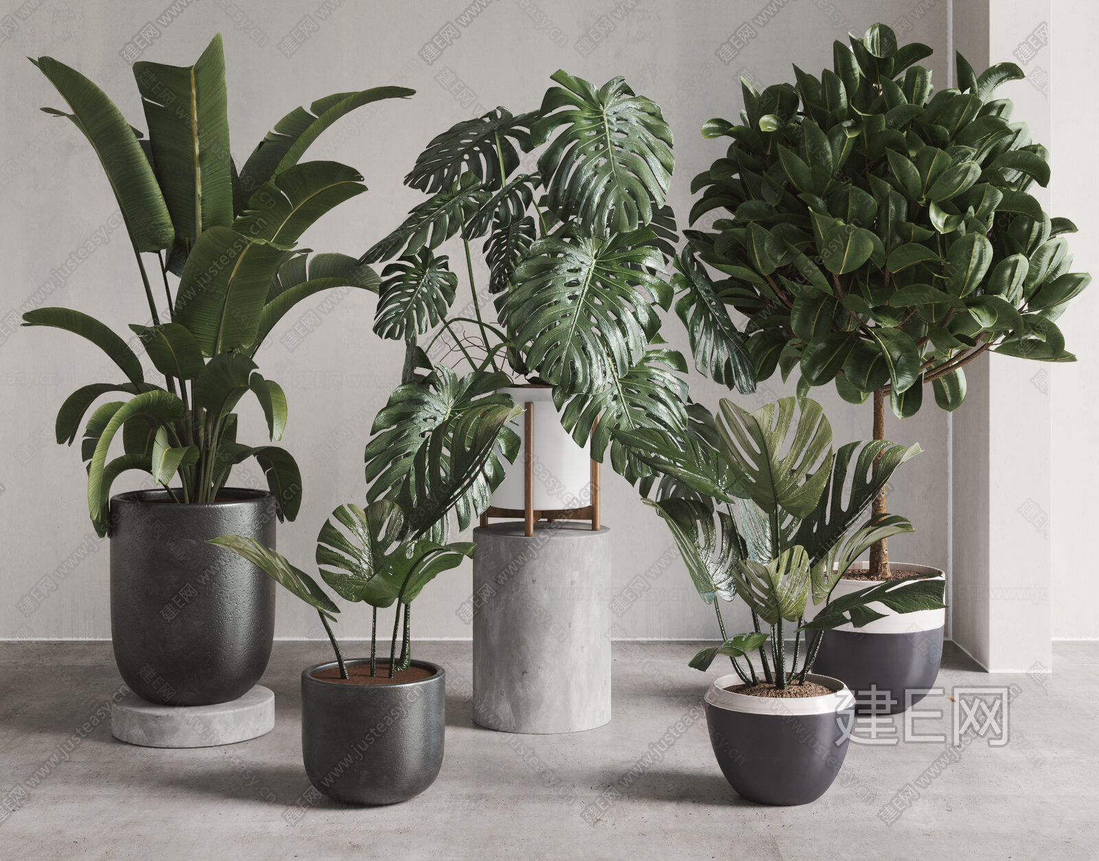 现代植物盆栽组合