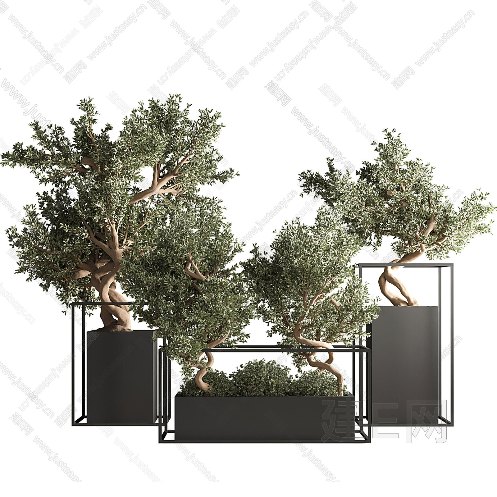 【现代盆栽植物3d模型】建E网_现代盆栽植物3d模型下载[ID:110579701]_打造3d现代盆栽植物模型免费下载平台