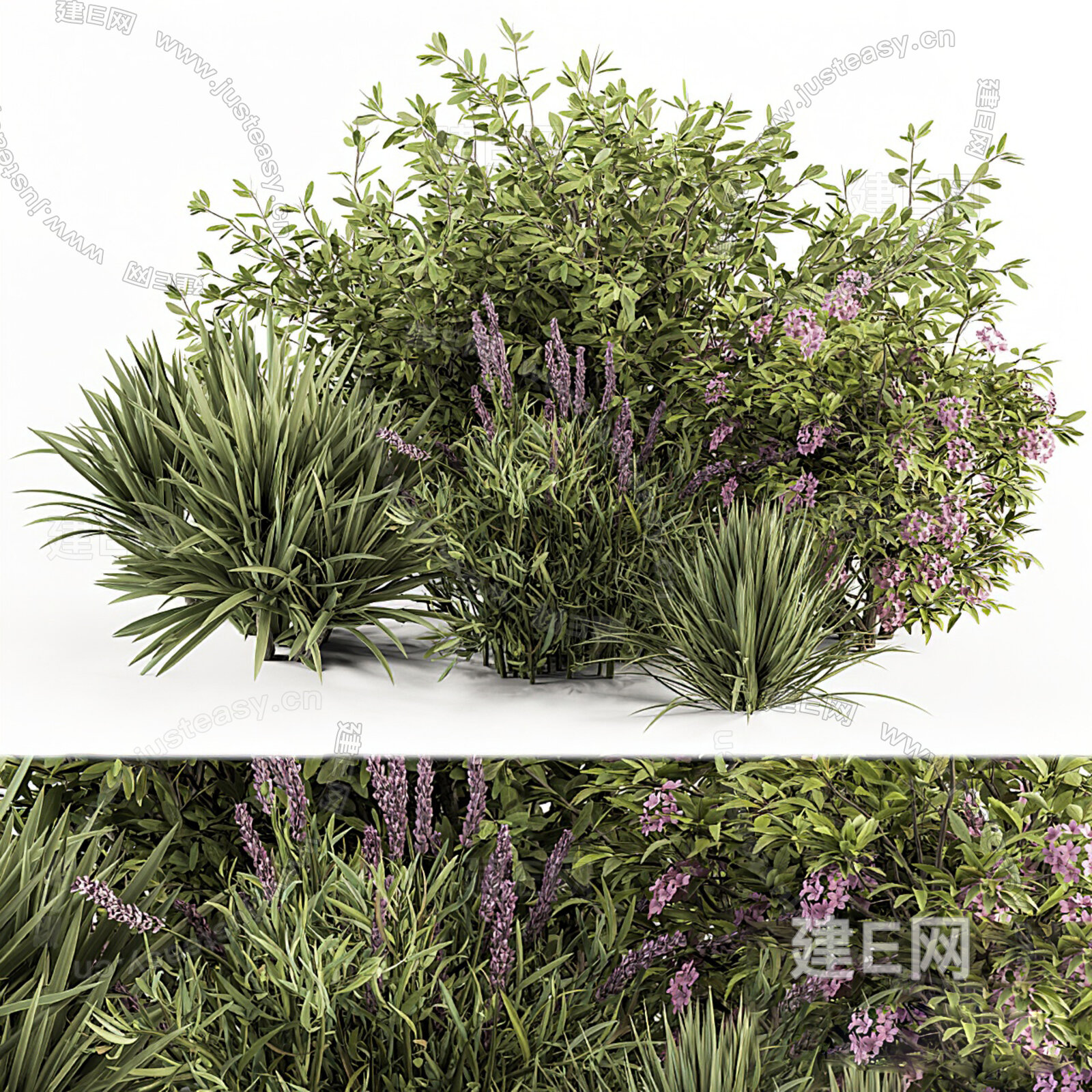 现代灌木植物模型SU模型下载[ID:111560509]_建e网su模型
