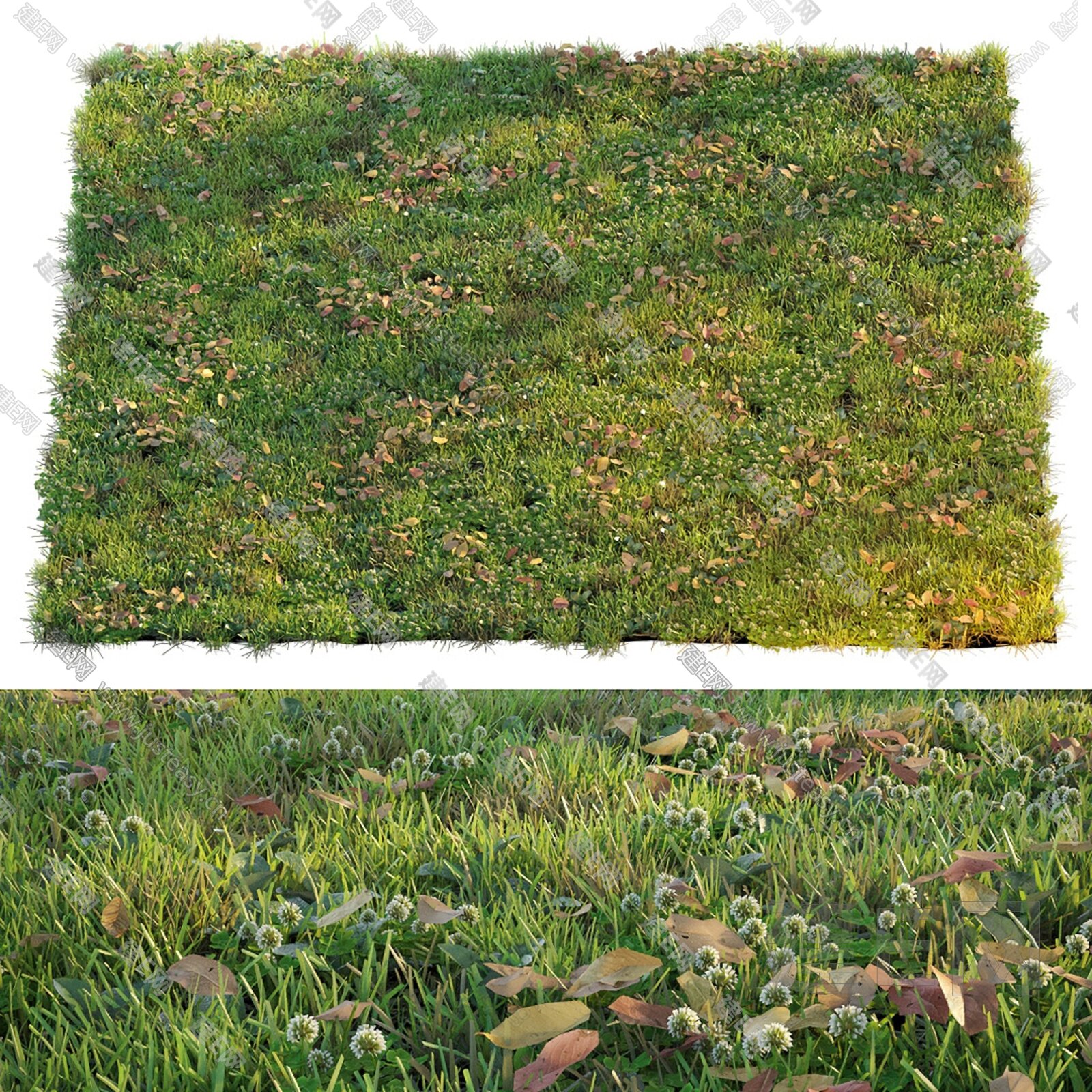 现代草坪3d模型下载