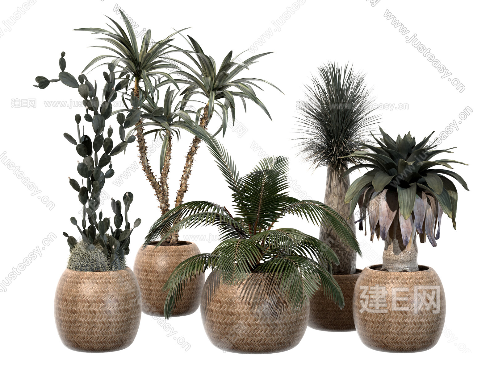 【绿植盆栽3d模型】建e网_绿植盆栽3d模型下载[ID:104288674]_打造3d绿植盆栽模型免费下载平台