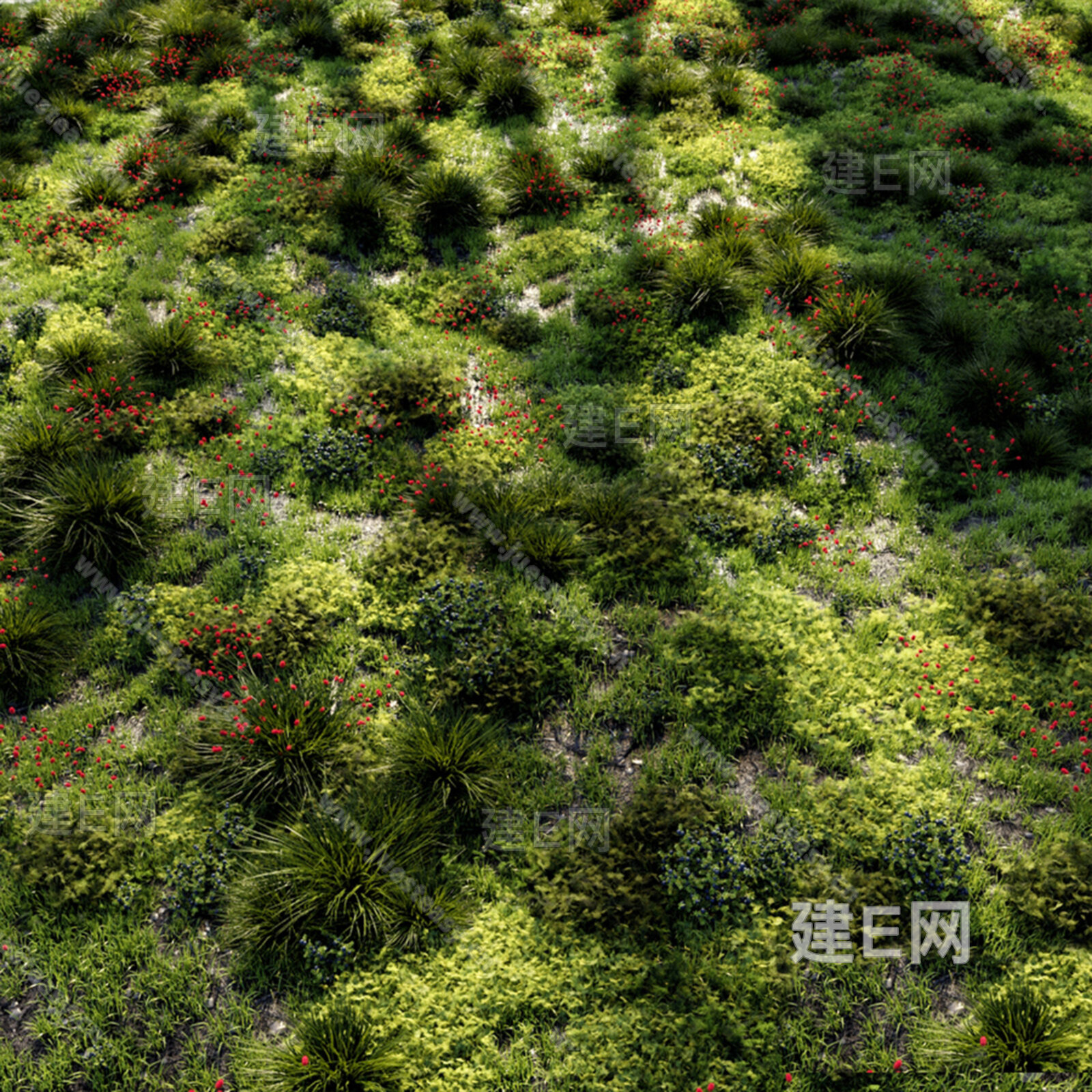 草坪3d模型下载