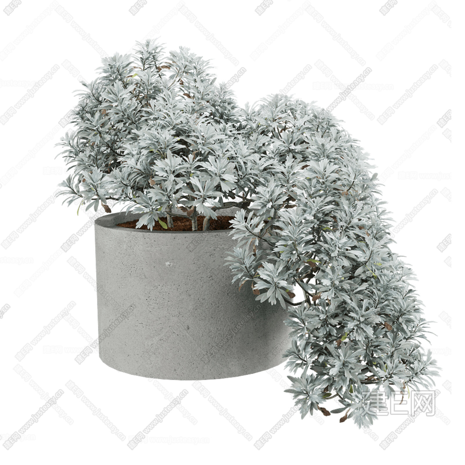 【植物盆栽3d模型】建E网_植物盆栽3d模型下载[ID:105926696]_打造3d植物盆栽模型免费下载平台