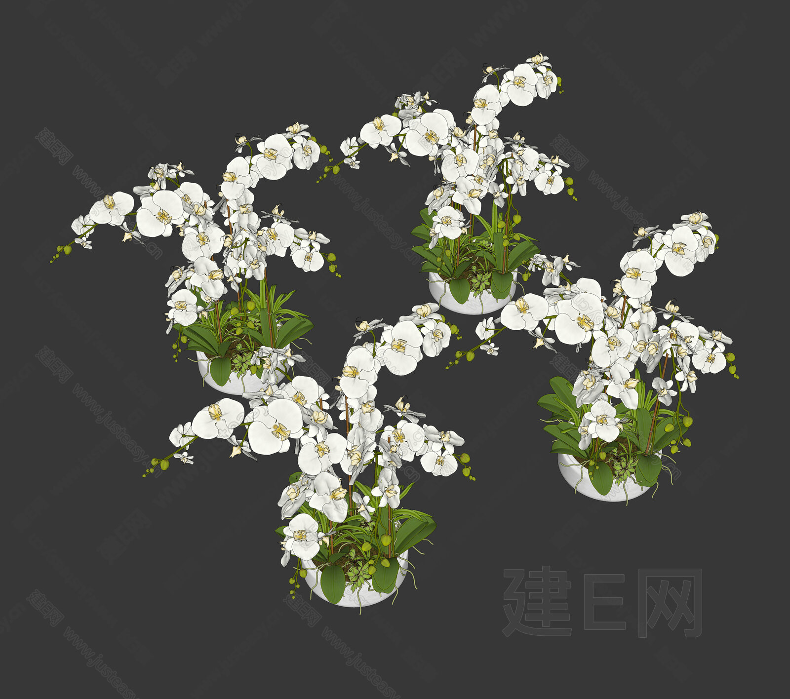 现代兰花SU模型下载[ID:104155263]，现代兰花，SU模型下载