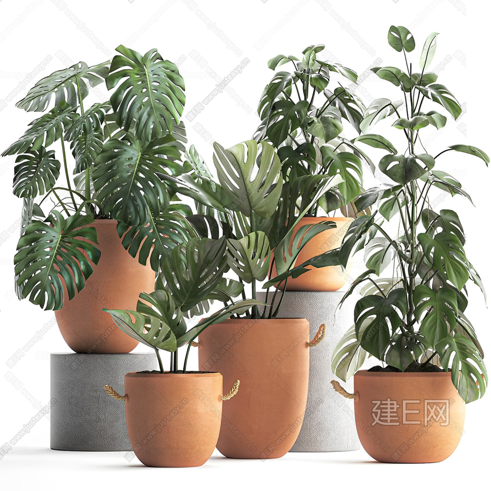现代绿植盆栽模型SU模型下载[ID:113265496]_建e网su模型