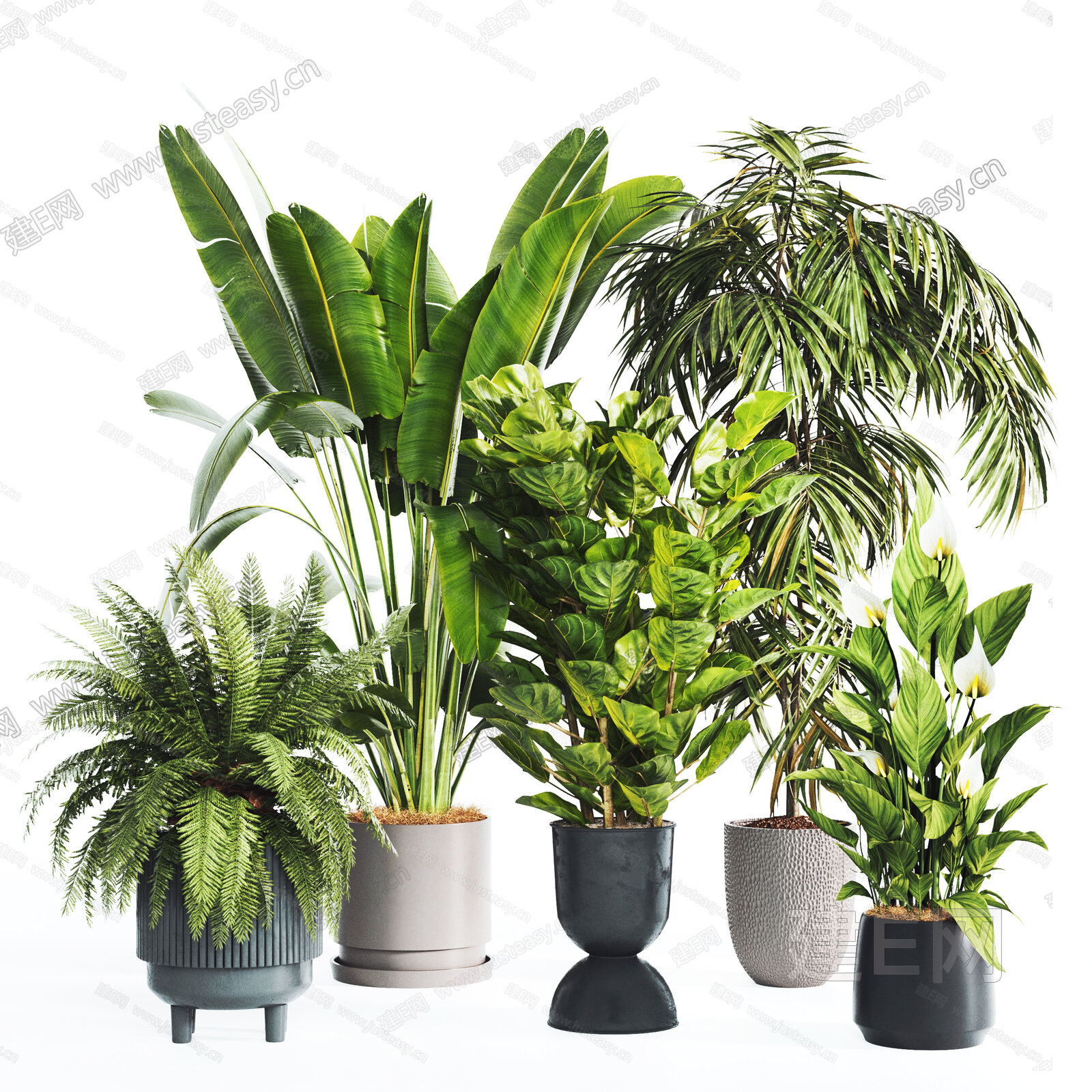 【现代绿植盆栽3d模型】建E网_现代绿植盆栽3d模型下载[ID:107500186]_打造3d现代绿植盆栽模型免费下载平台