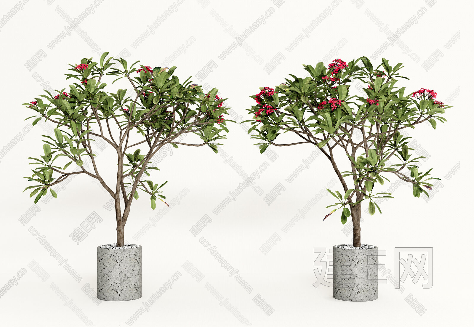 【植物盆栽观赏盆景3d模型】建e网_植物盆栽观赏盆景3d模型下载[ID:105207130]_打造3d植物盆栽观赏盆景模型免费下载平台