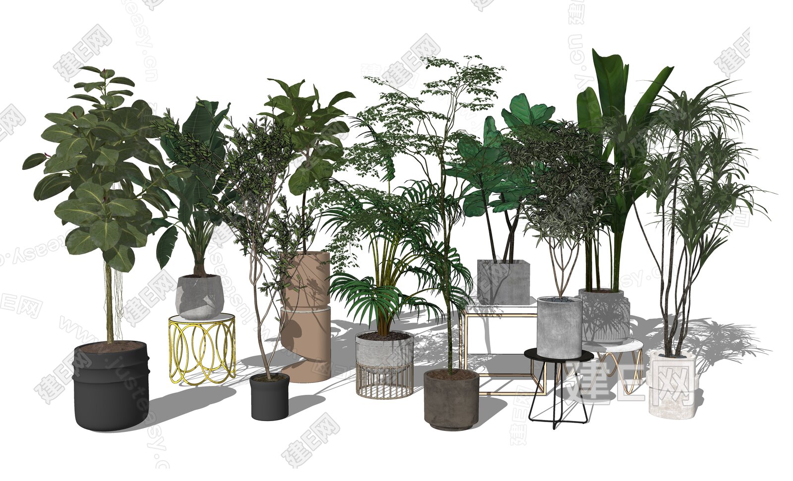 现代绿植盆栽 模型SU模型下载[ID:115953136]_建E室内设计网