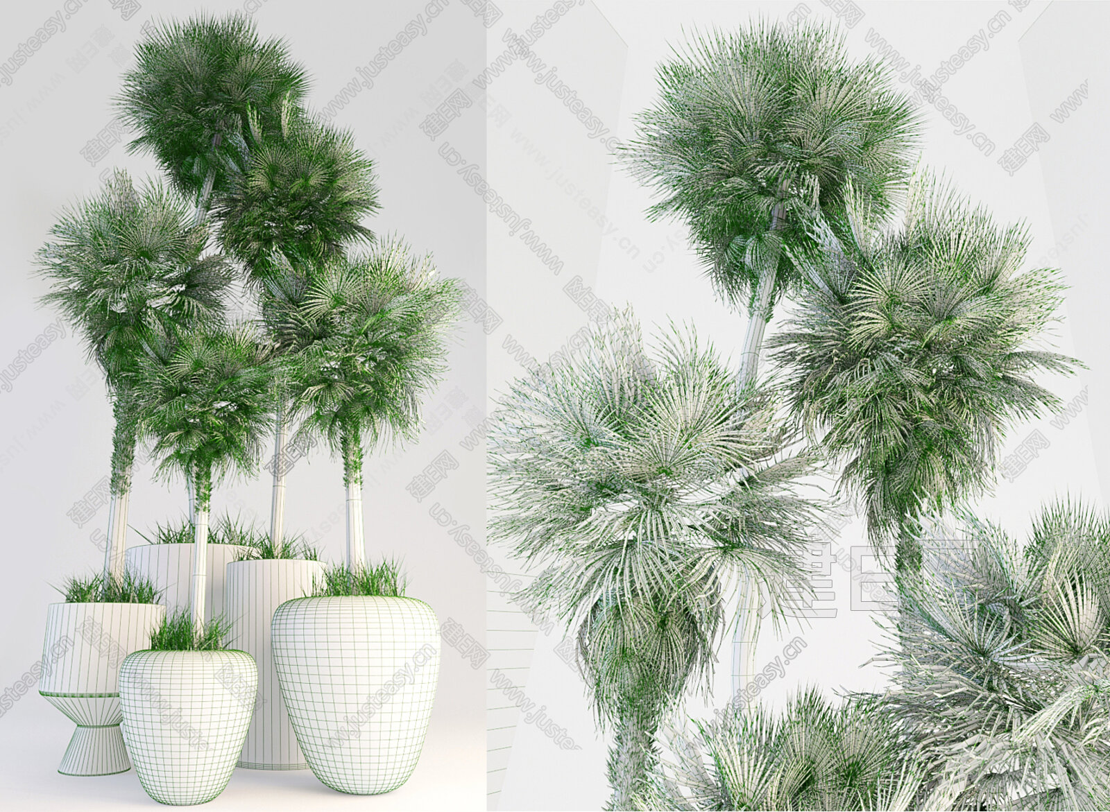 棕榈绿植盆栽3d模型下载[ID:113857746]_建e网3d模型