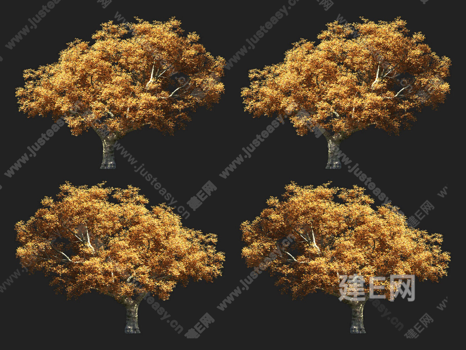 栓皮栎树3d模型下载[ID:113924026]_建e网3d模型