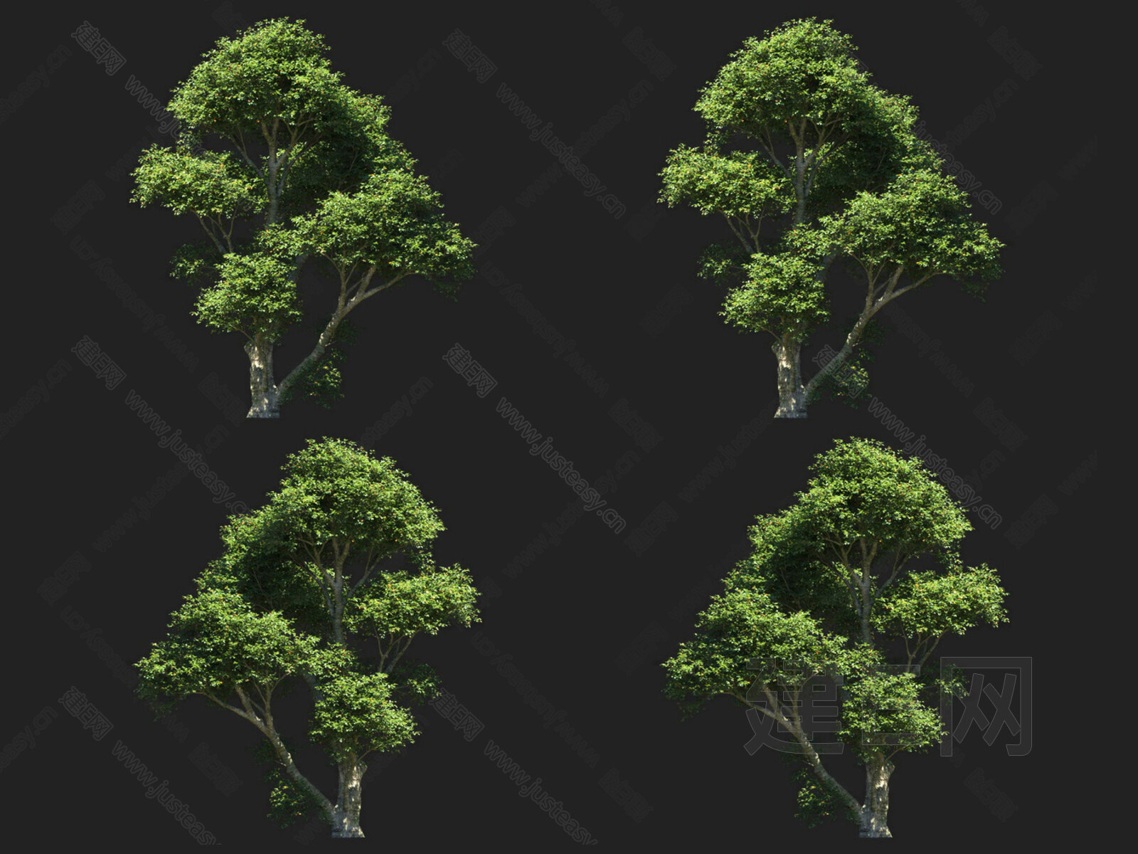 【栓皮栎树3d模型】建e网_栓皮栎树3d模型下载[ID:113924010]_打造3d栓皮栎树模型免费下载平台