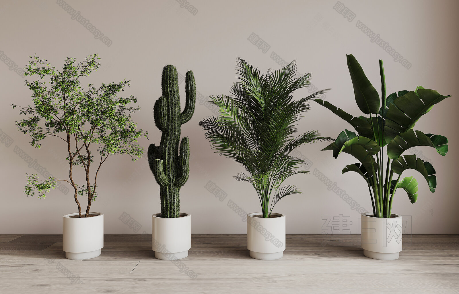 【现代植物盆栽3d模型】建e网_现代植物盆栽3d模型下载[ID:115431325]_打造3d现代植物盆栽模型免费下载平台
