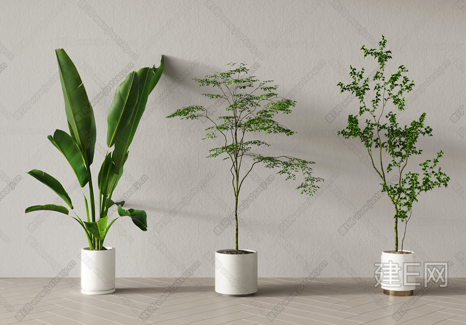 现代绿植盆栽3d模型下载[ID:101603065]_建e网3d模型