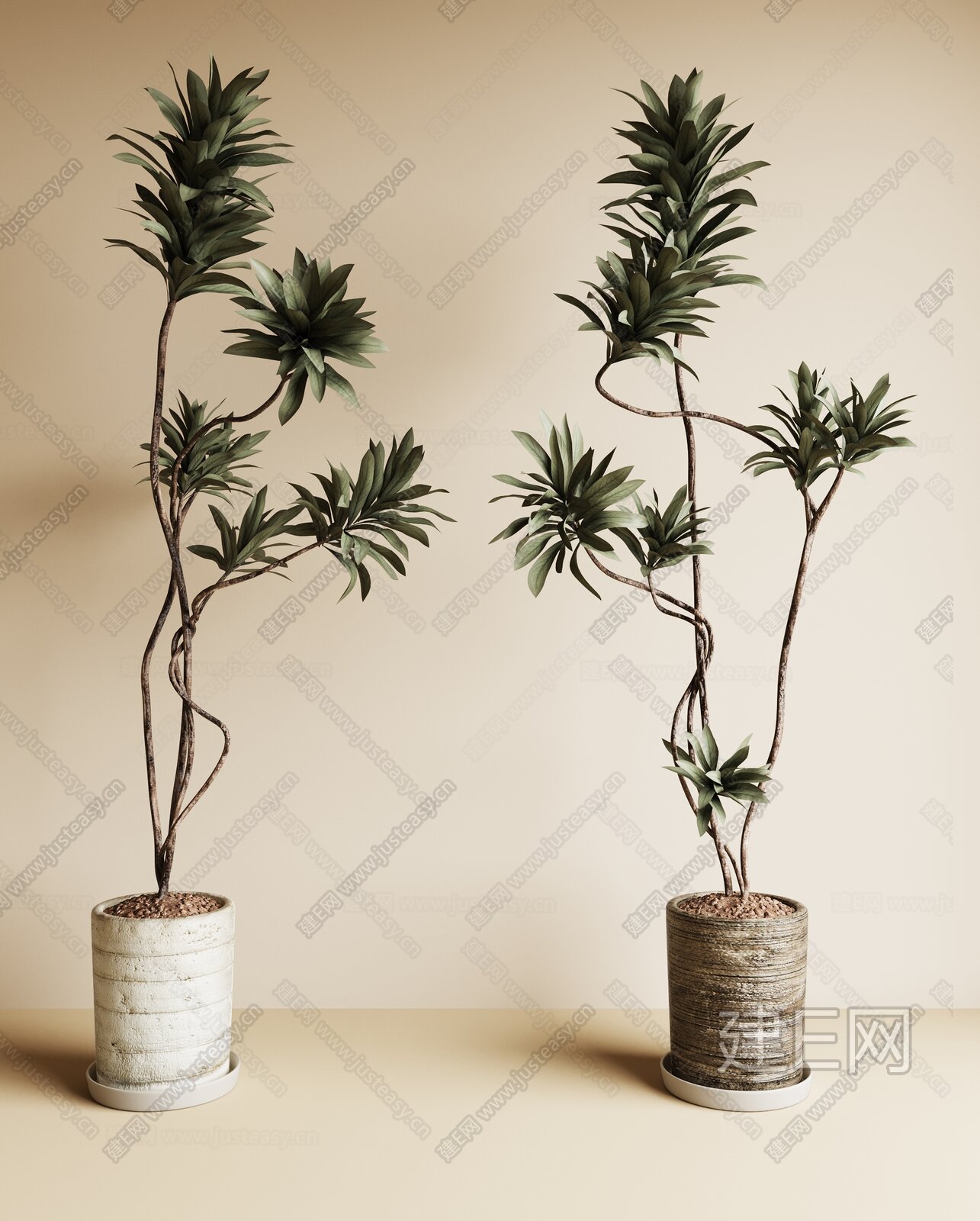现代绿植盆栽3d模型下载[ID:116938287]_建e网3d模型