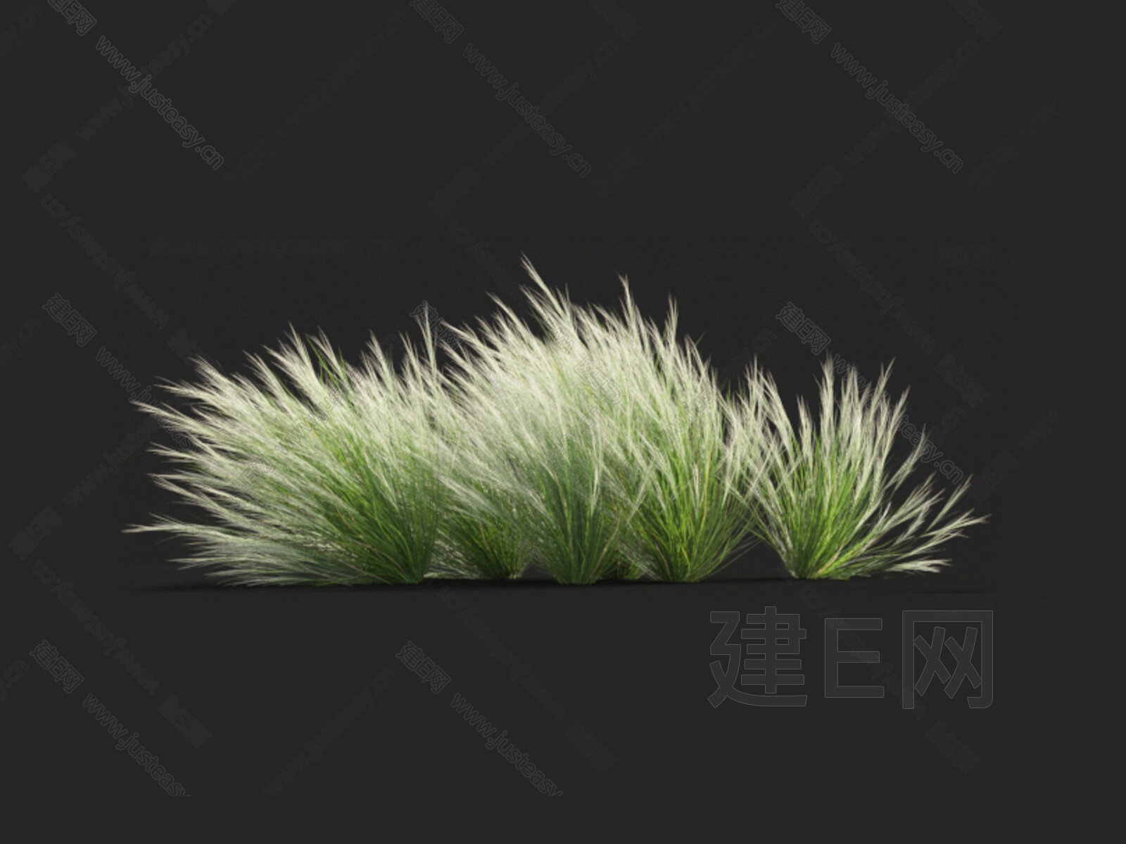 【针茅3d模型】建e网_针茅3d模型下载[ID:110320262]_打造3d针茅模型免费下载平台