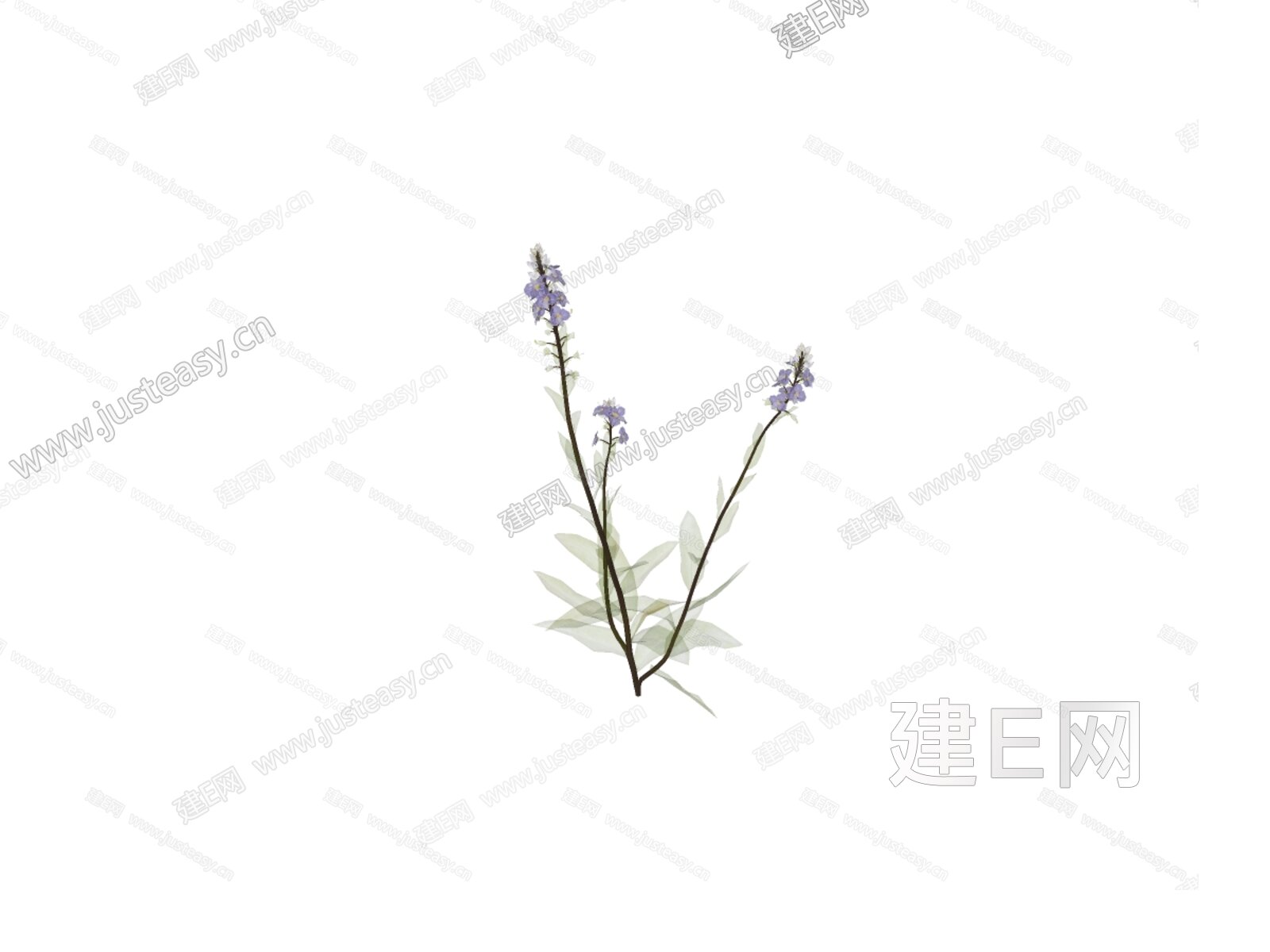 婆婆纳模型su模型下载 Id101864028 建e室内设计网 