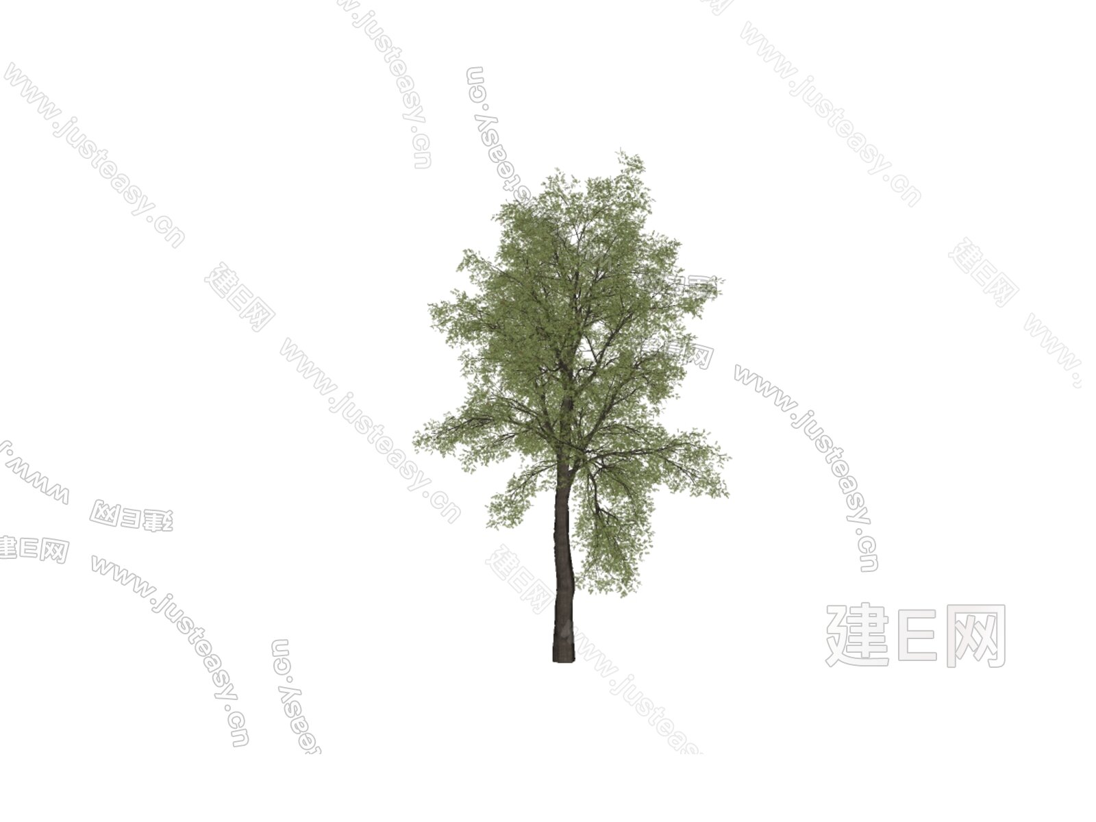 栎树模型SU模型下载[ID:115692075]_建E室内设计网