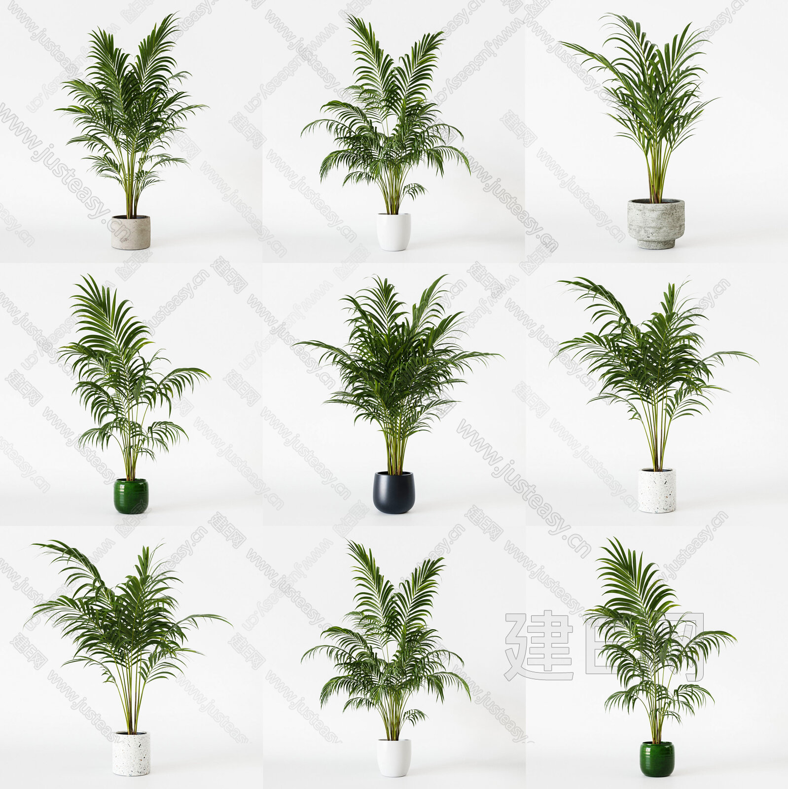 散尾葵植物盆栽绿植组合模型SU模型下载[ID:116478551]_建e网su模型