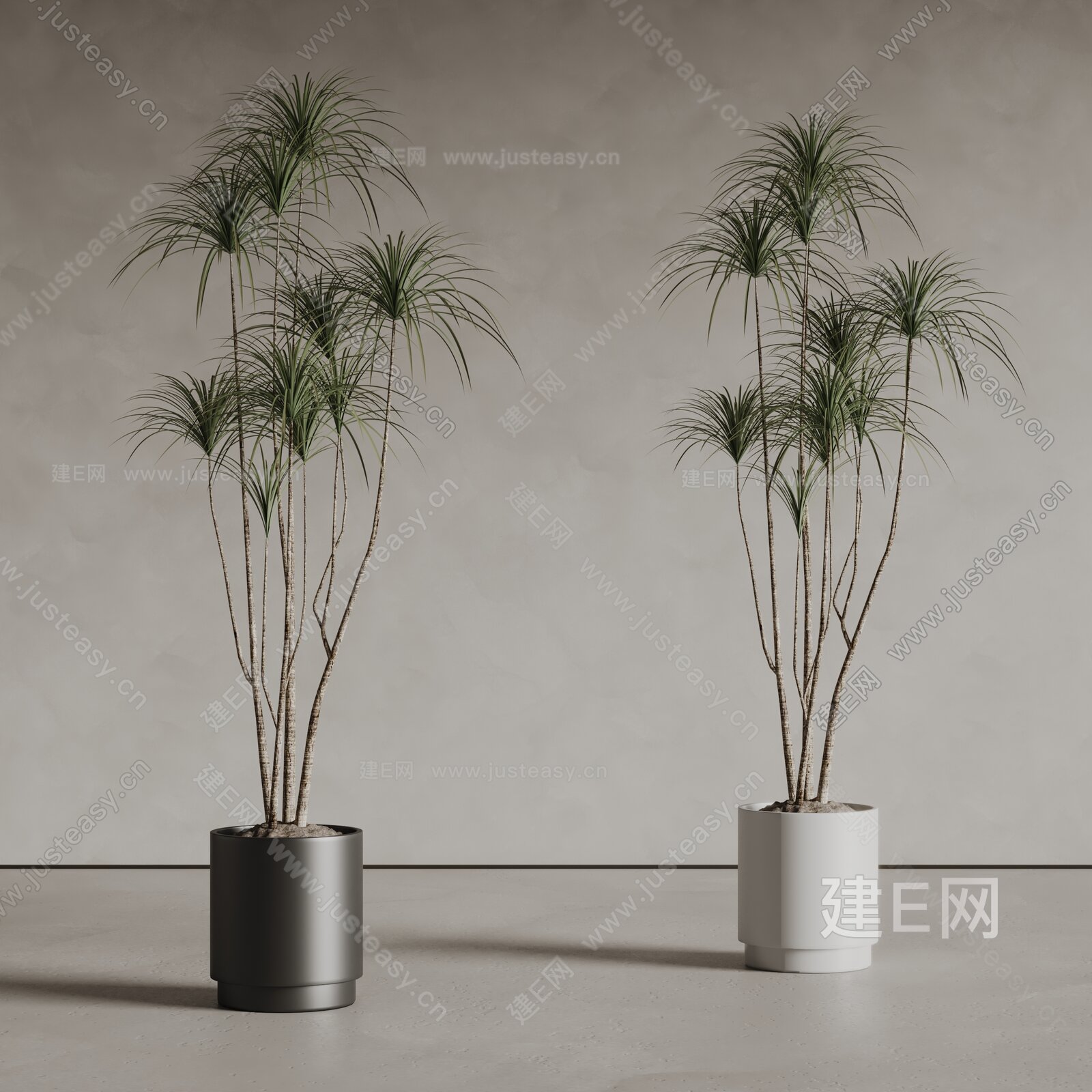 散尾葵植物盆栽模型SU模型下载[ID:116413130]_建e网su模型