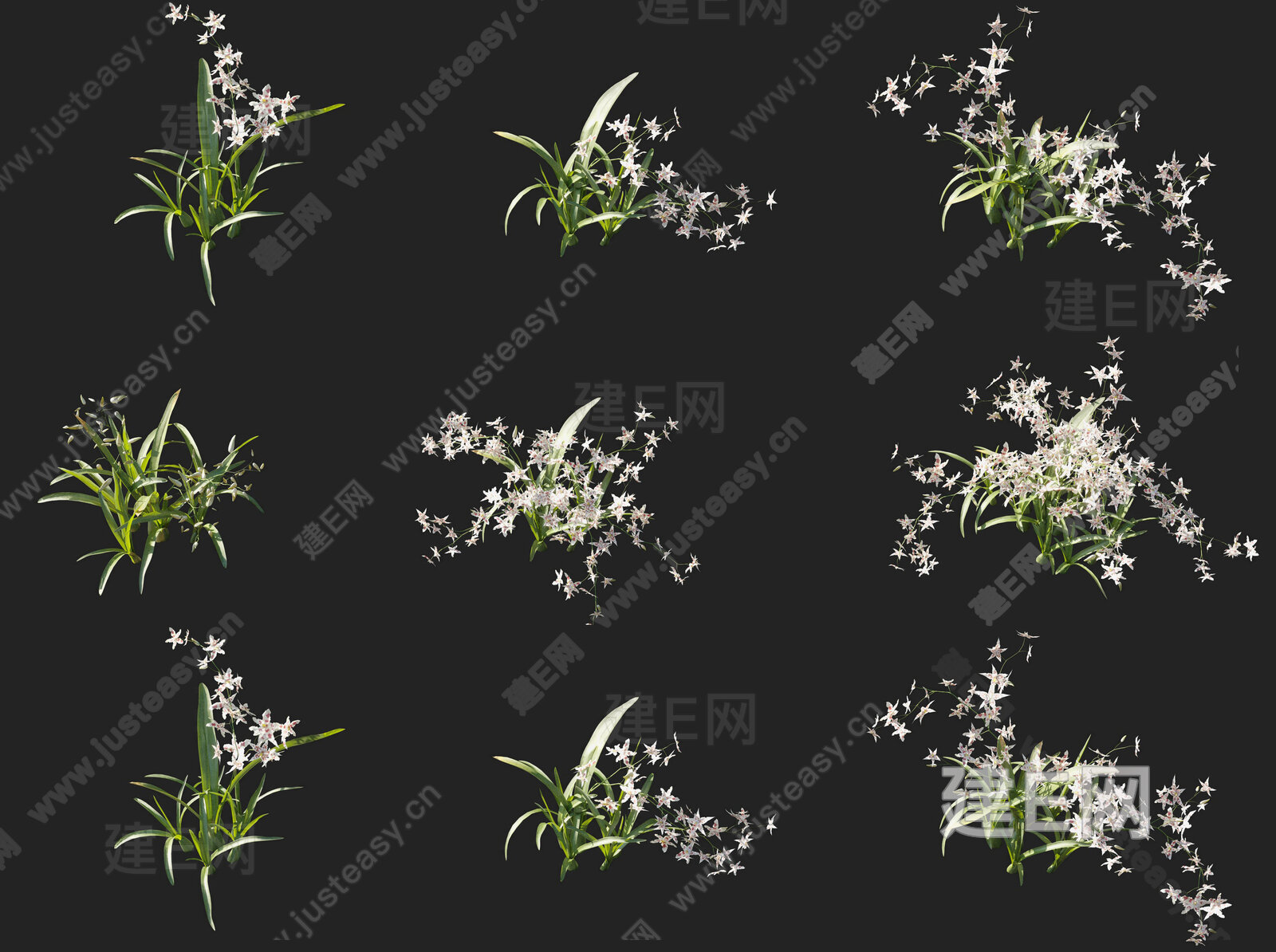 现代齿舌兰花草花卉灌木组合 小草鲜花灌木花卉花草组合模型SU模型下载[ID:101733816]_建E室内设计网