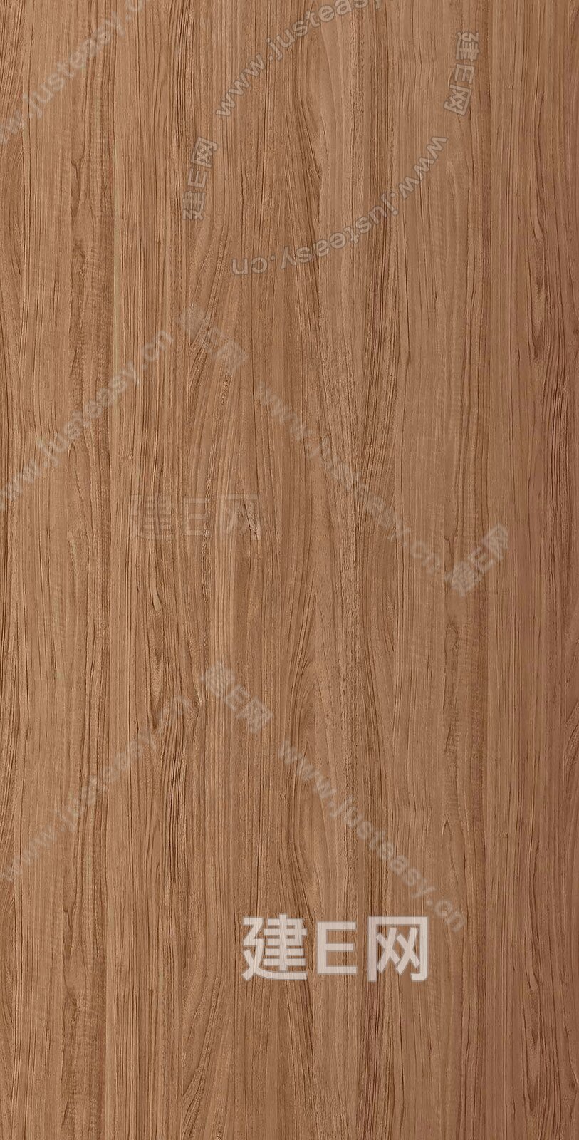 榆木纹理木饰面3d贴图下载[ID:104351409]_建e贴图