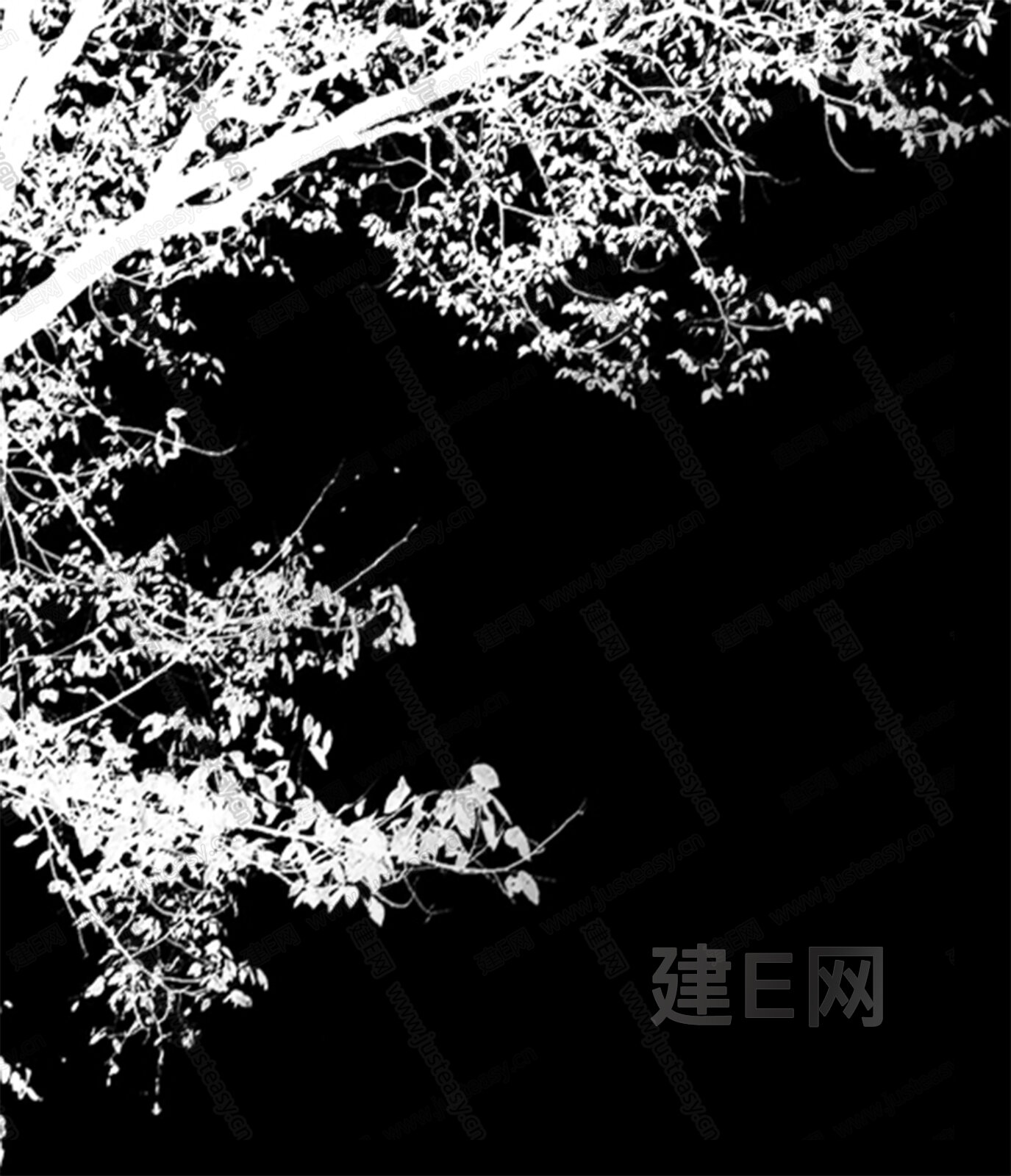 树叶 树影 黑白3d贴图下载[ID:108349546]_建e贴图