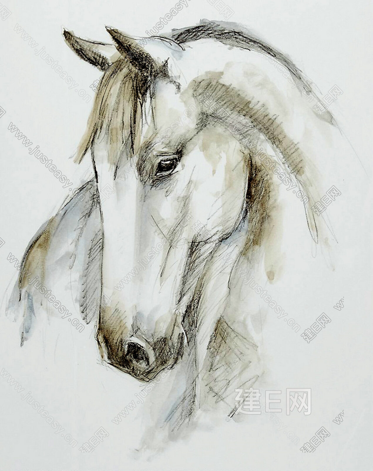 素描白马装饰画贴图_贴图下载_贴图免费下载_建e室内设计网