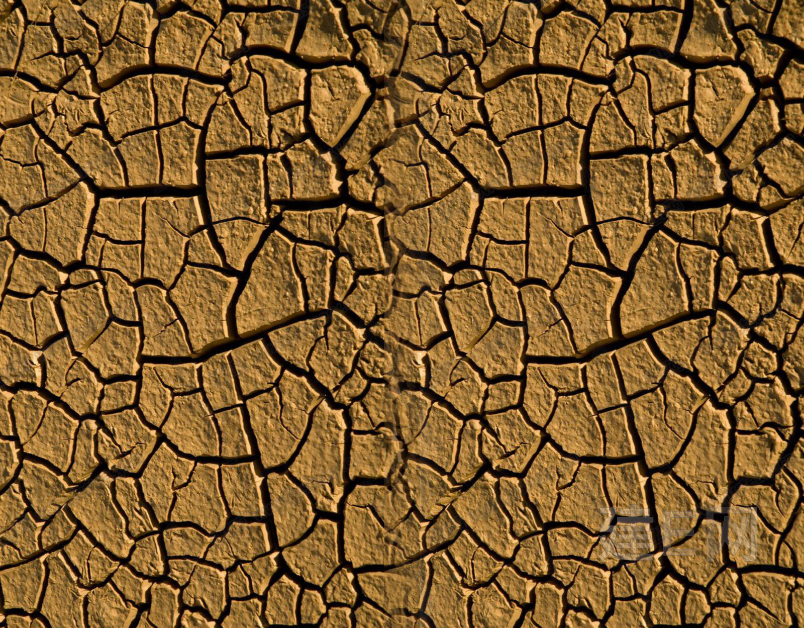 干枯土地3d贴图_干枯土地3d贴图下载_干枯土地3d贴图免费下载_建e室内