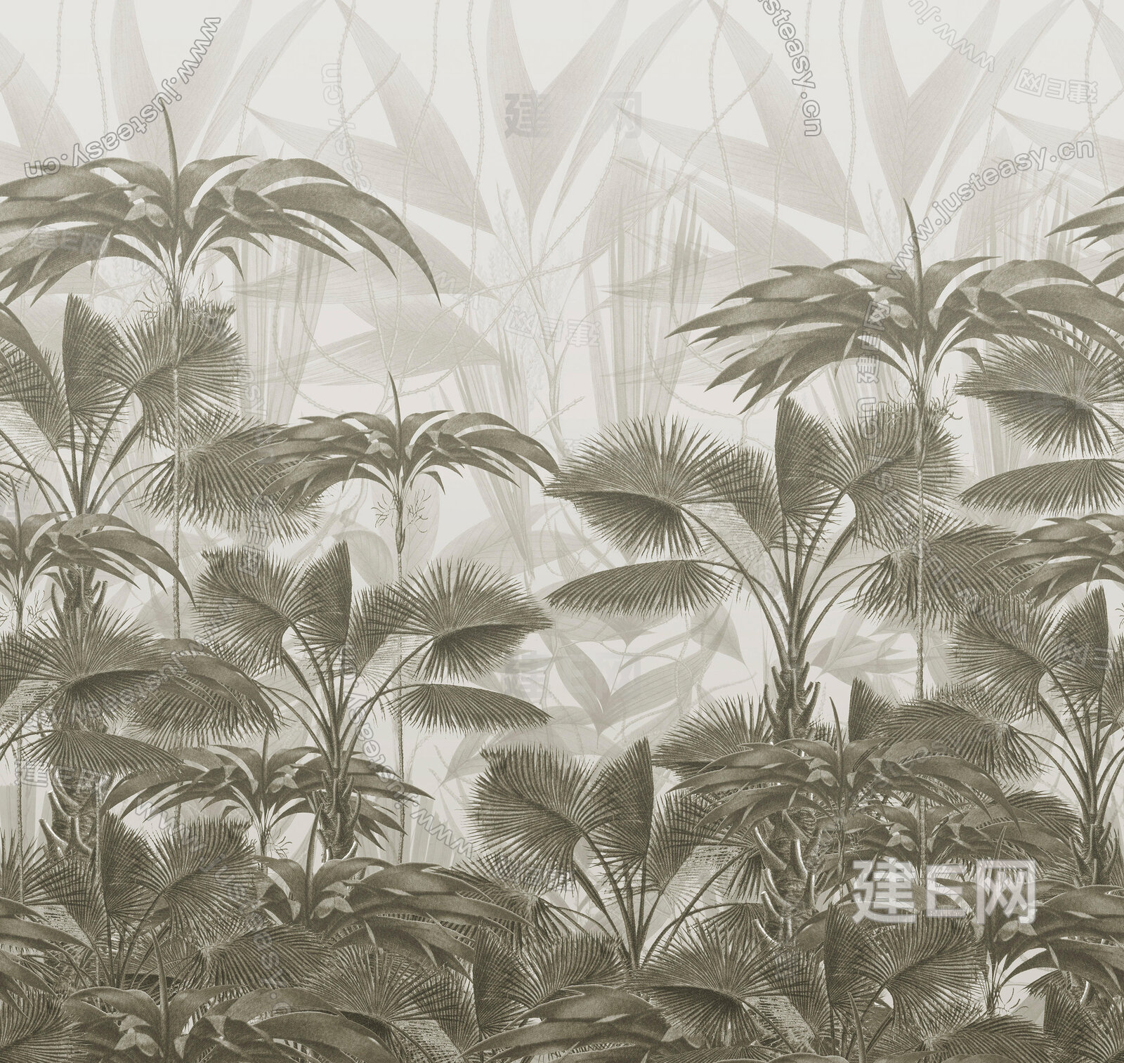 个性特色植物灰色调背景图片电脑桌面壁纸高清-植物壁纸-壁纸下载-美桌网