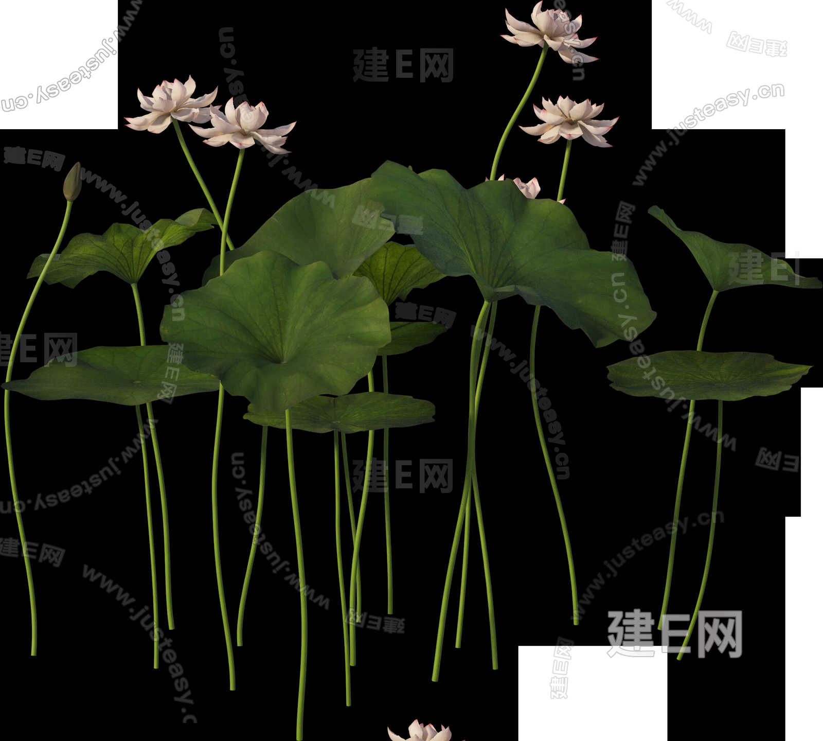 荷花3d贴图下载[ID:114118595]_建E室内设计网
