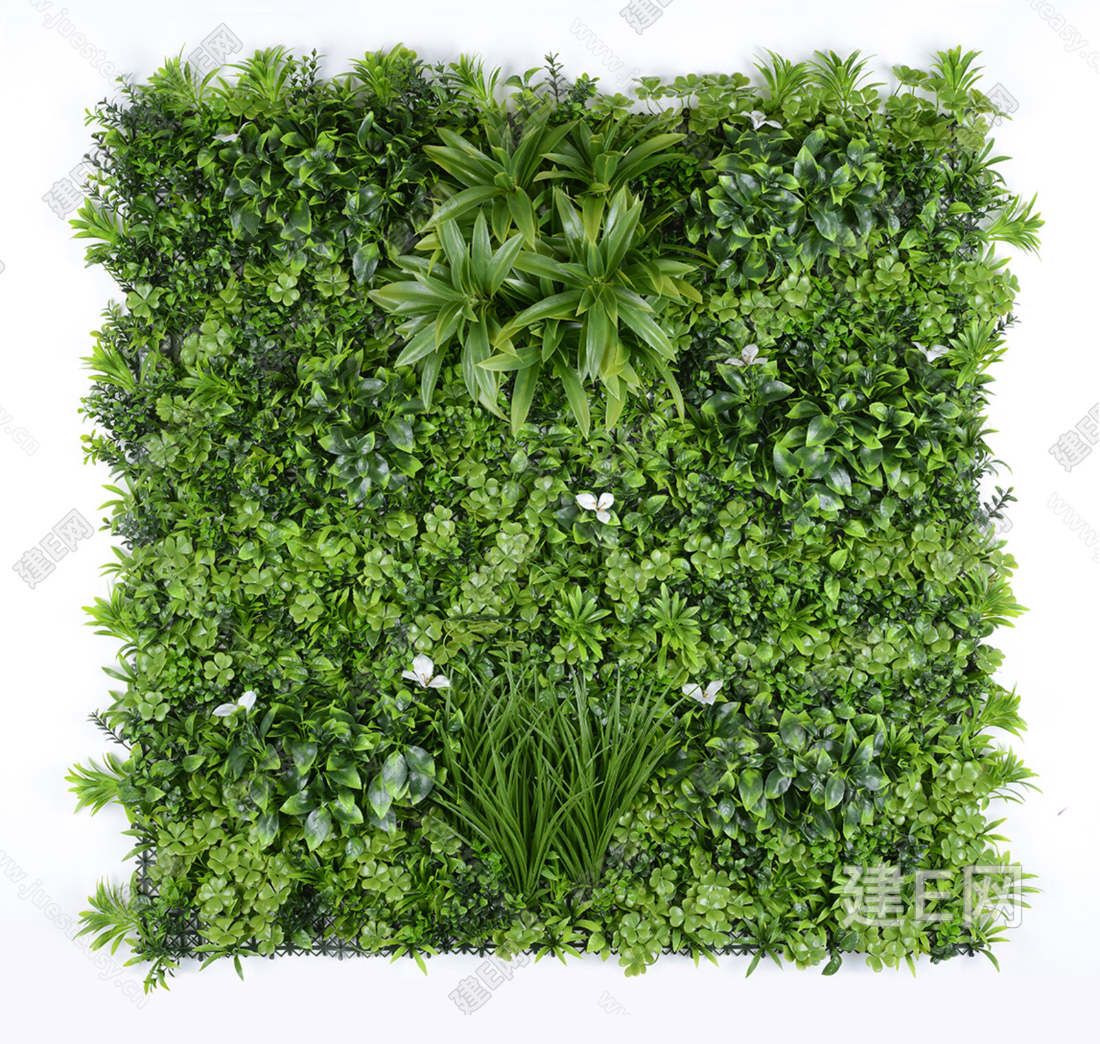 绿植墙贴图3d贴图下载[ID:114249629]_建E室内设计网
