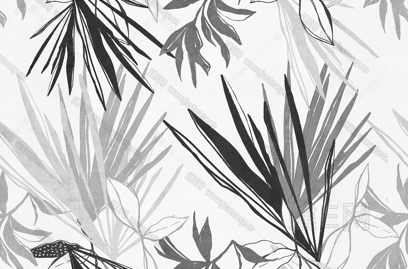 无缝模式的植物灵感来自热带植物的灰色阴影插画图片素材_ID:312426148-Veer图库