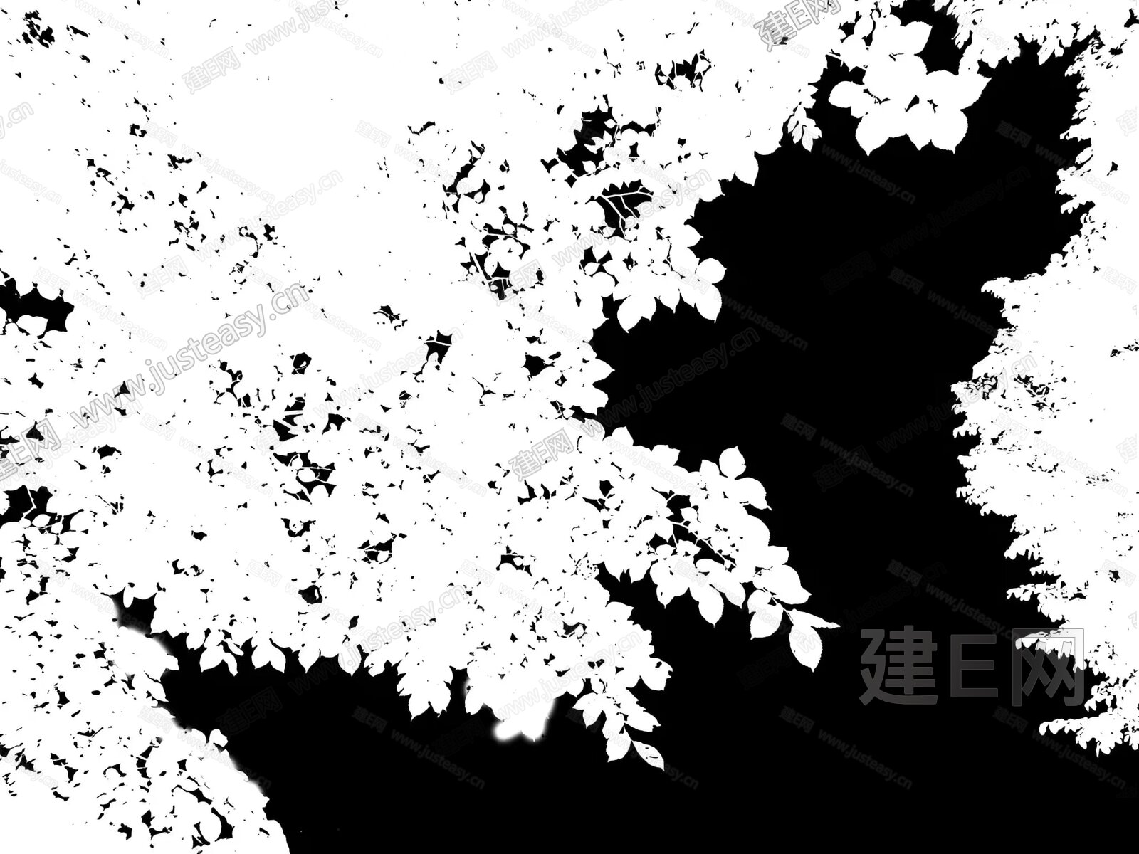 黑白树影树叶贴图3d贴图下载[ID:108155706]_建e贴图