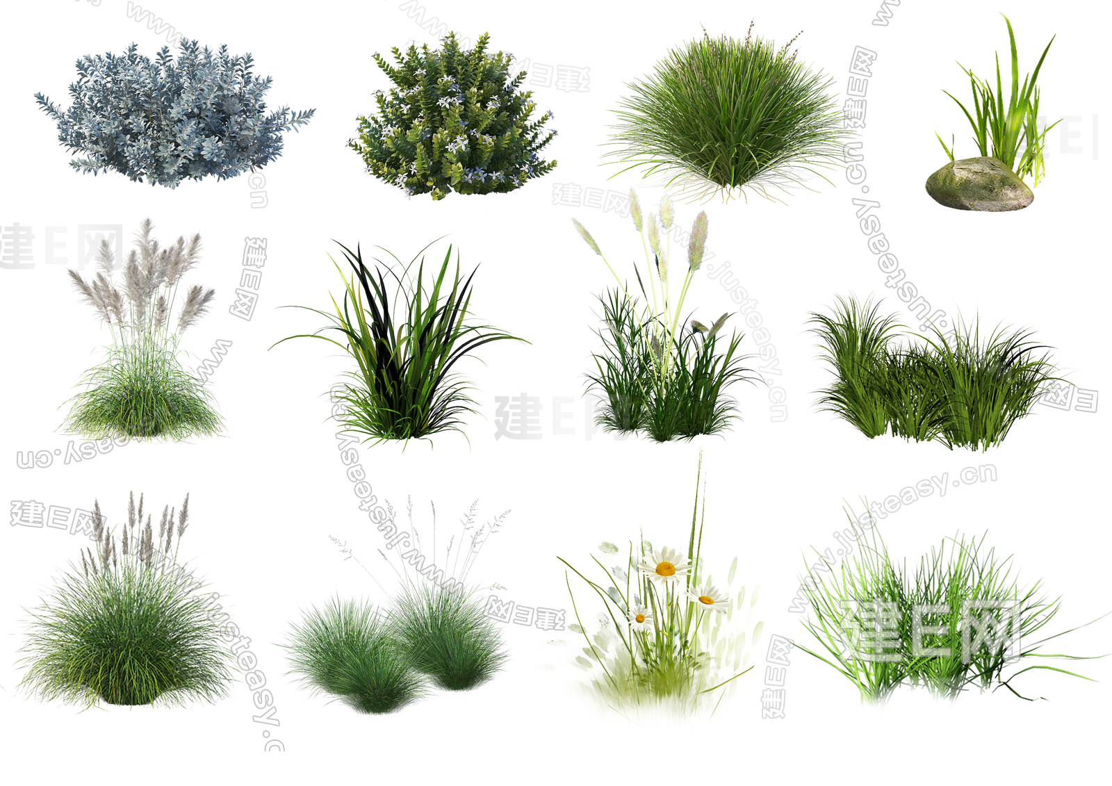 草花观赏草psd免抠植物贴图下载3d贴图下载[ID:108811561]_建E室内设计网