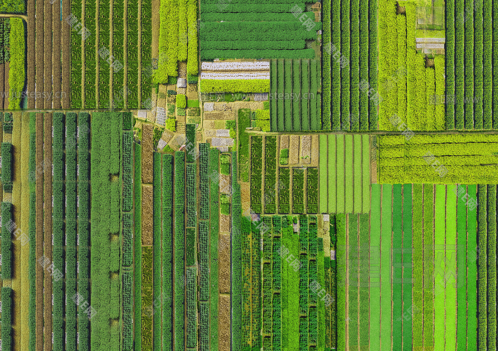 耕地土壤墒情动态监测与评价—长光卫星技术股份有限公司