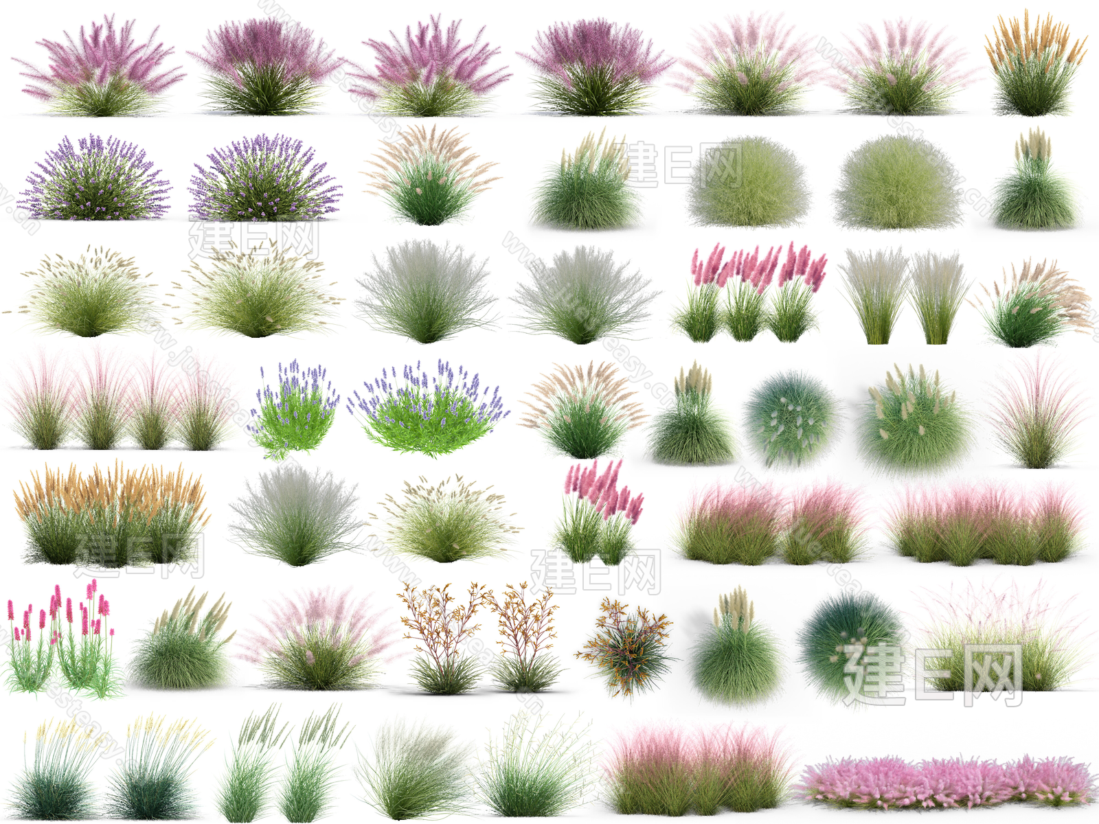 茅草观赏草植物花卉免抠素材3d贴图下载[ID:113924567]_建e贴图
