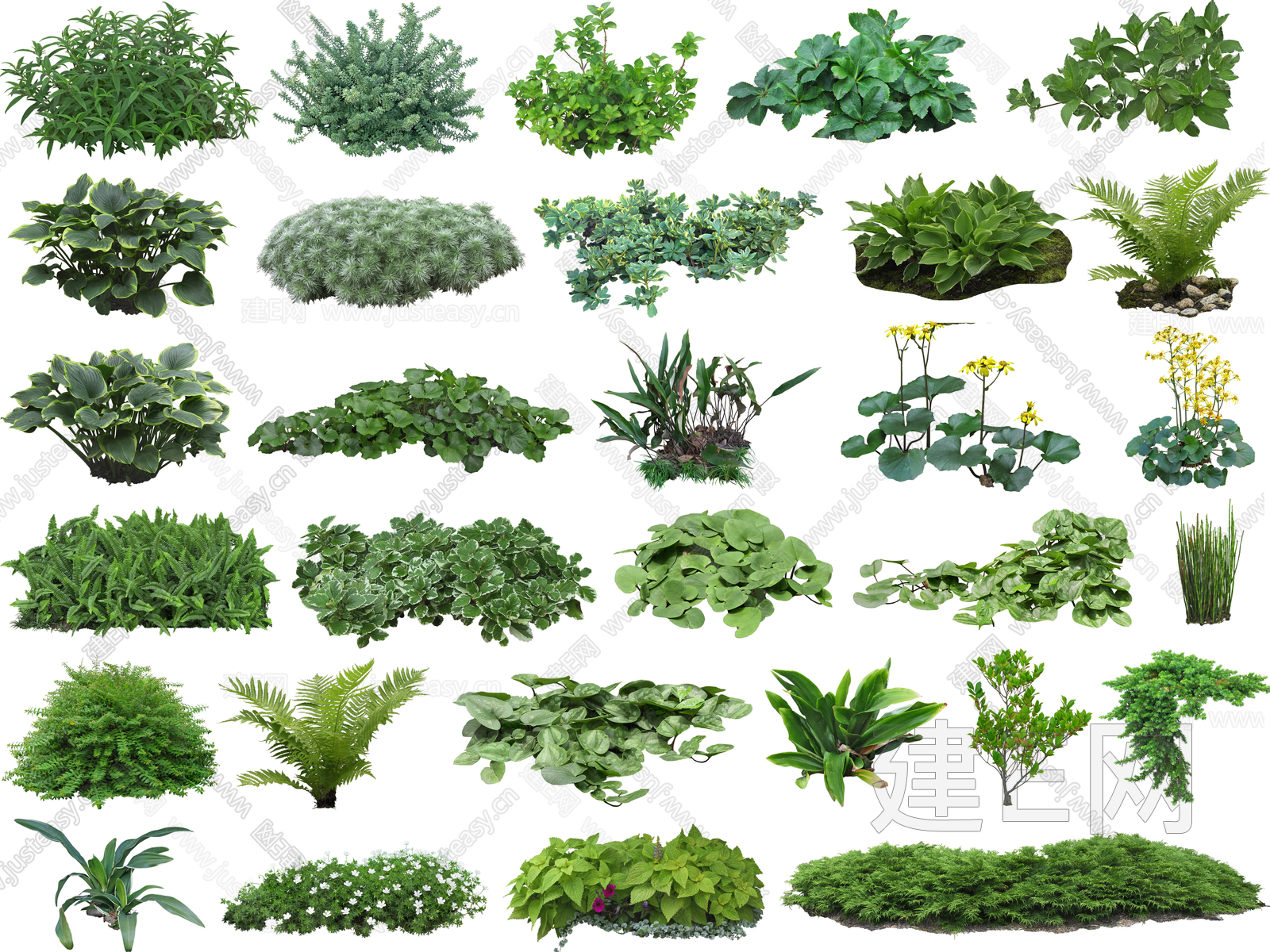 地被植物花草灌木免抠素材3d贴图下载[ID:115825085]_建e贴图