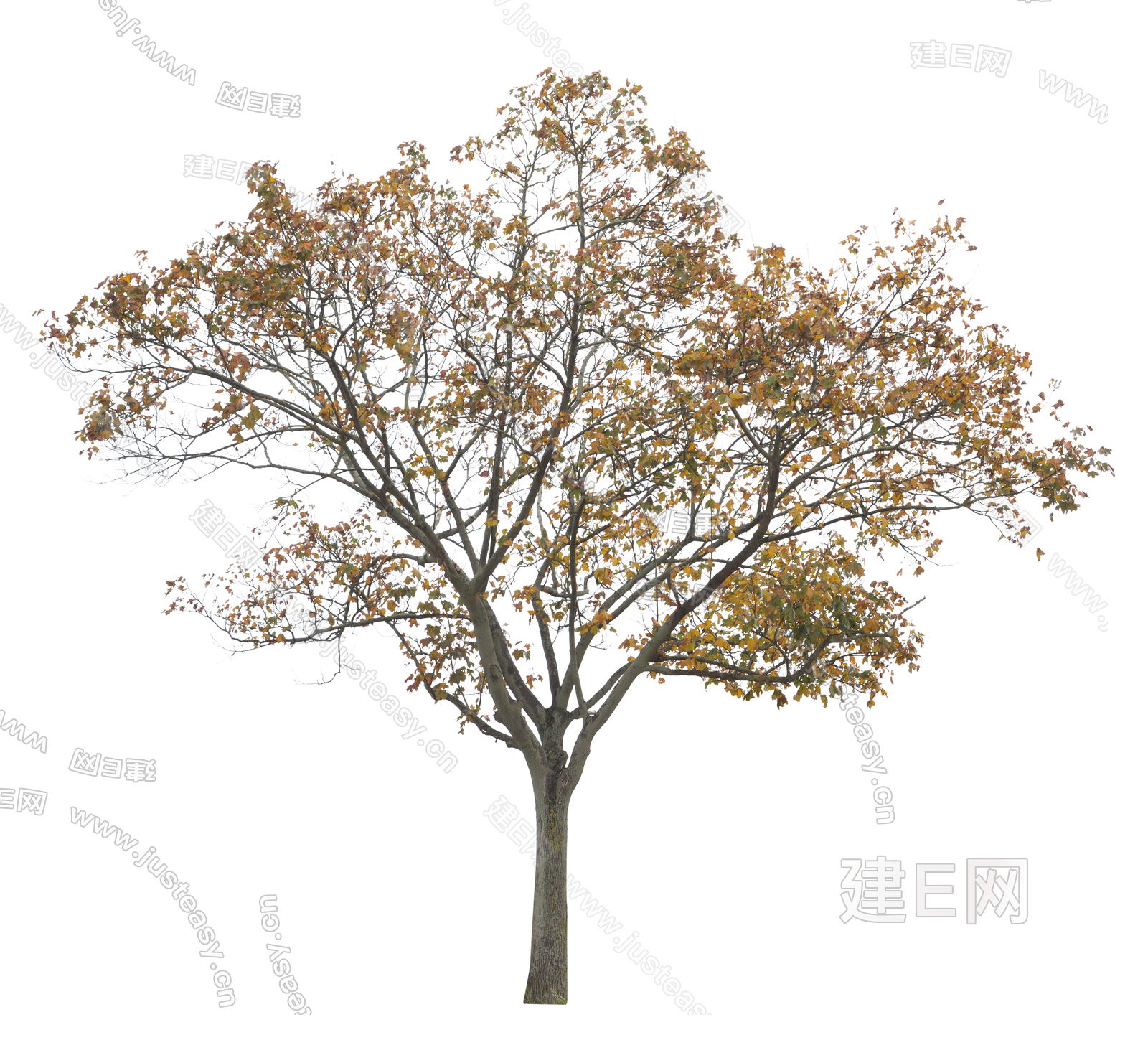 高清稀疏树彩色树景观树庭院树景观植物造型树乔木png免抠3d贴图下载[ID:117266939]_建e贴图