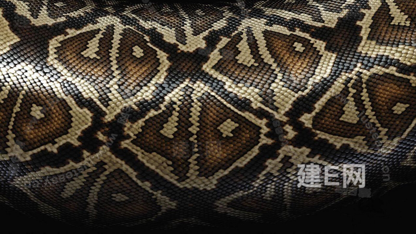 巨蛇缠绕的巨蟒纹身-搜狐大视野-搜狐新闻